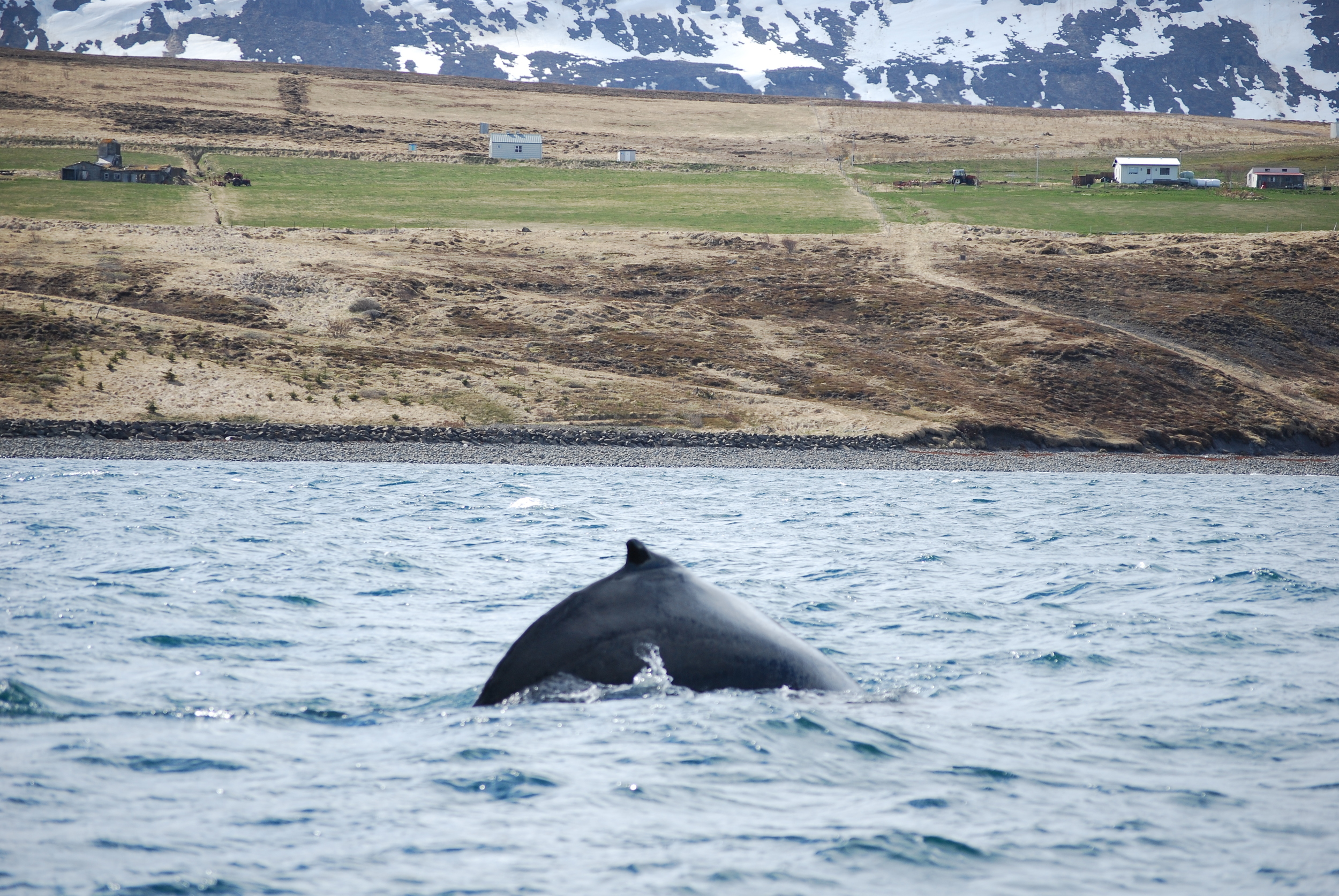 Wednesday, 18 May 2016
