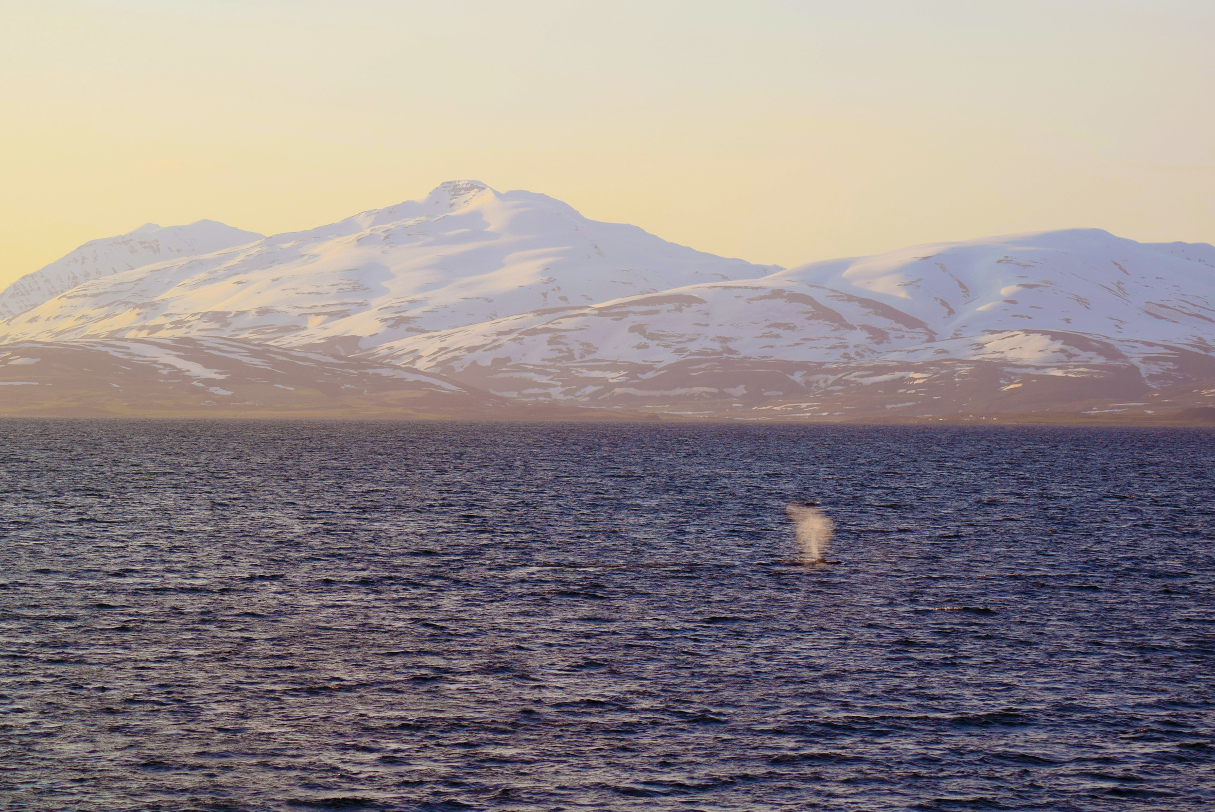 Friday, 20 May 2016