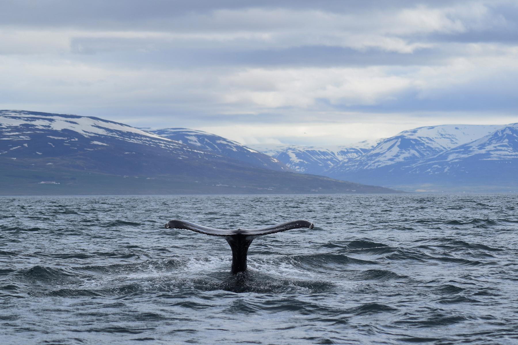 Tuesday, 1 June 2016