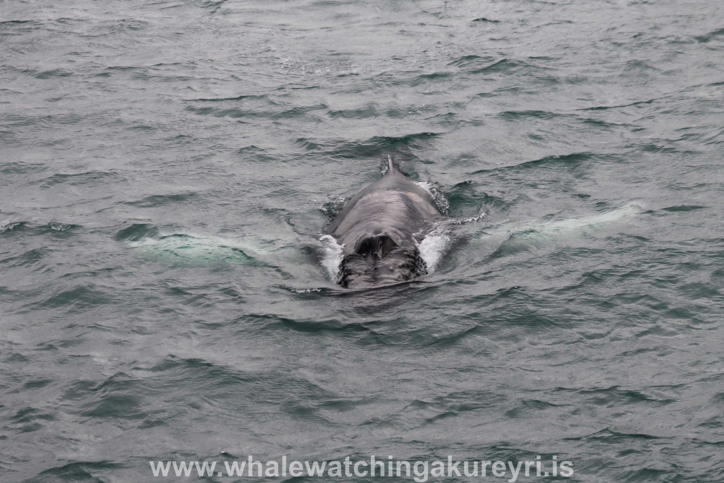Wednesday, 14 September 2016