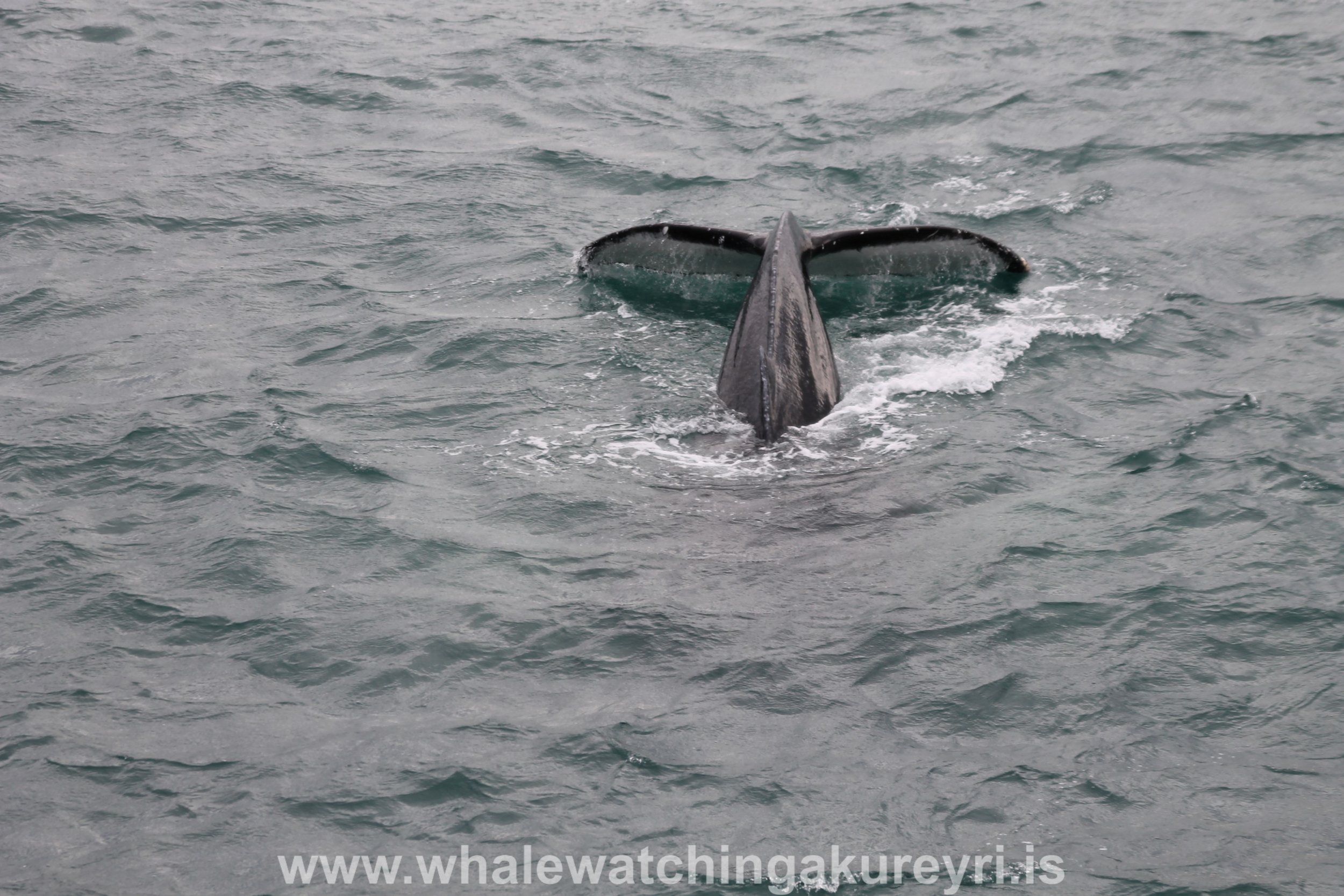 Wednesday, 14 September 2016