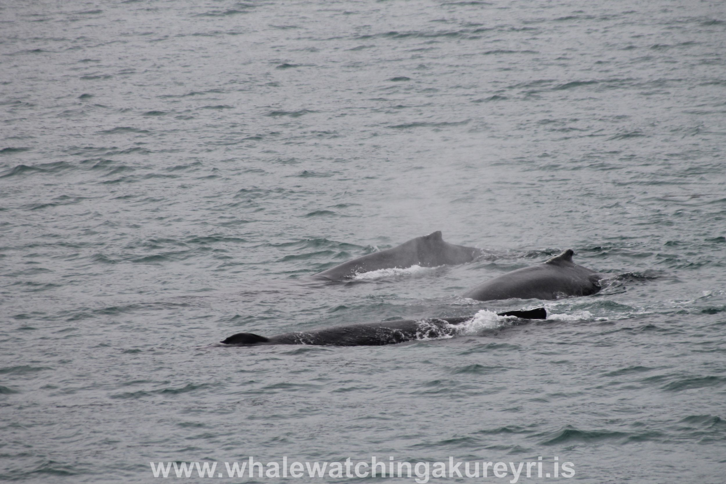 Wednesday, 14 September 2016