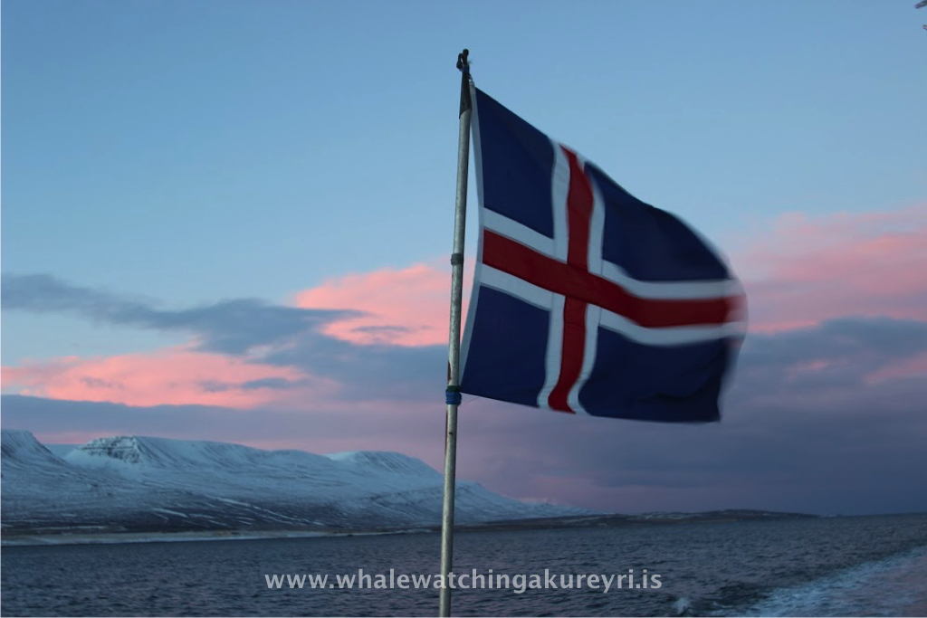 Friday, 30 December 2016