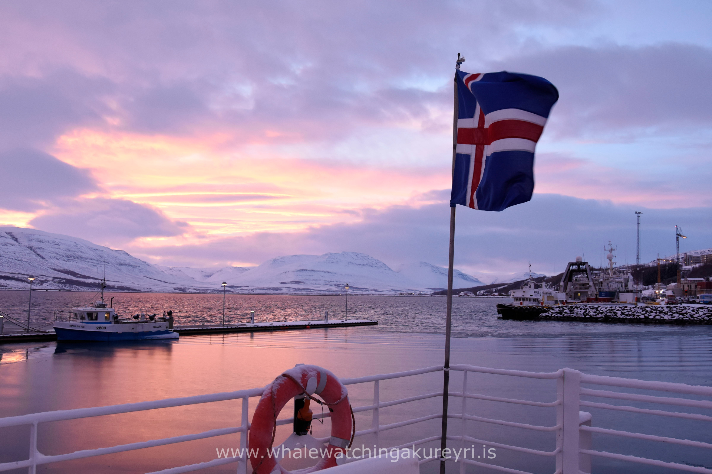 Friday, 20 January 2017