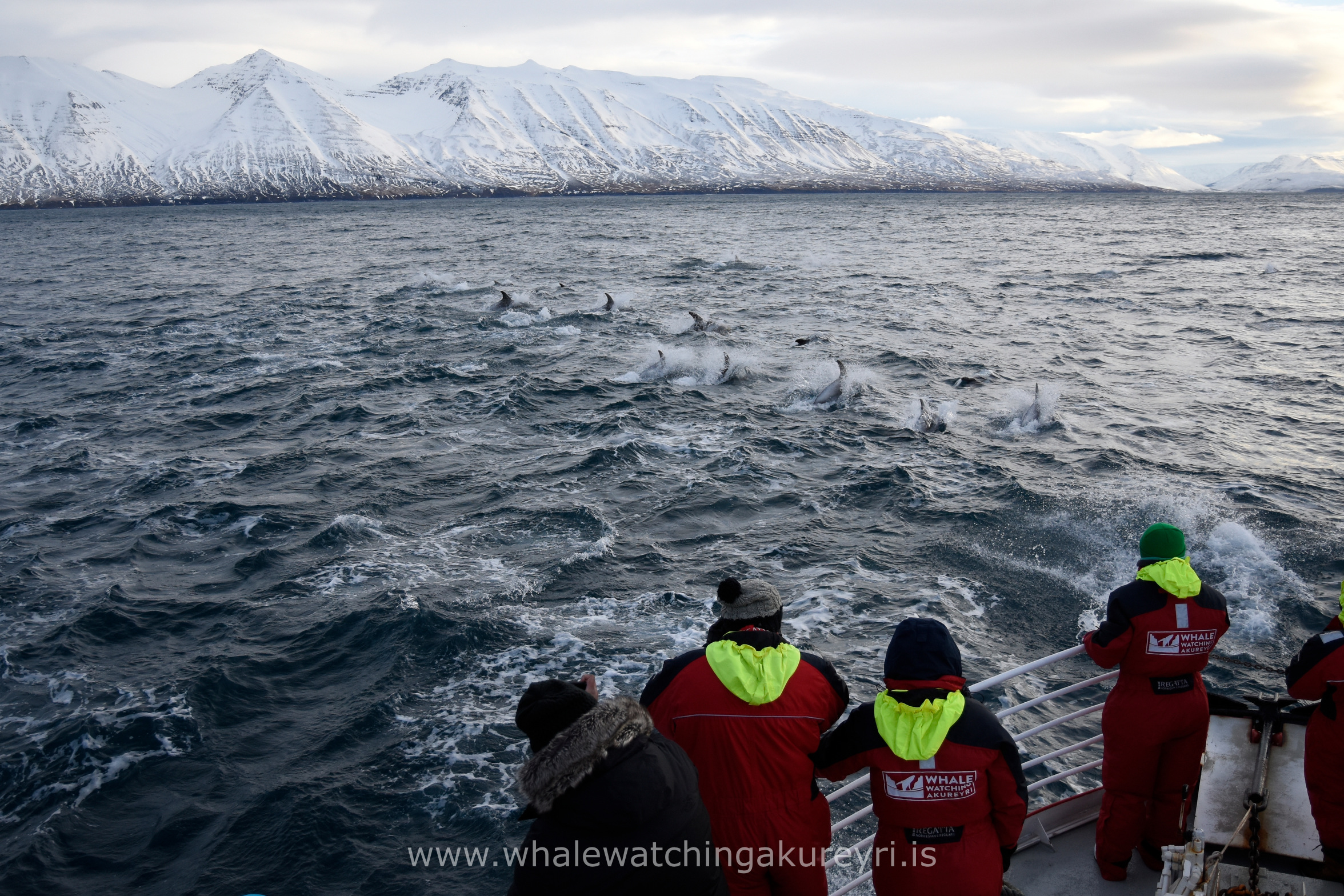 Thursday, 26 January 2017