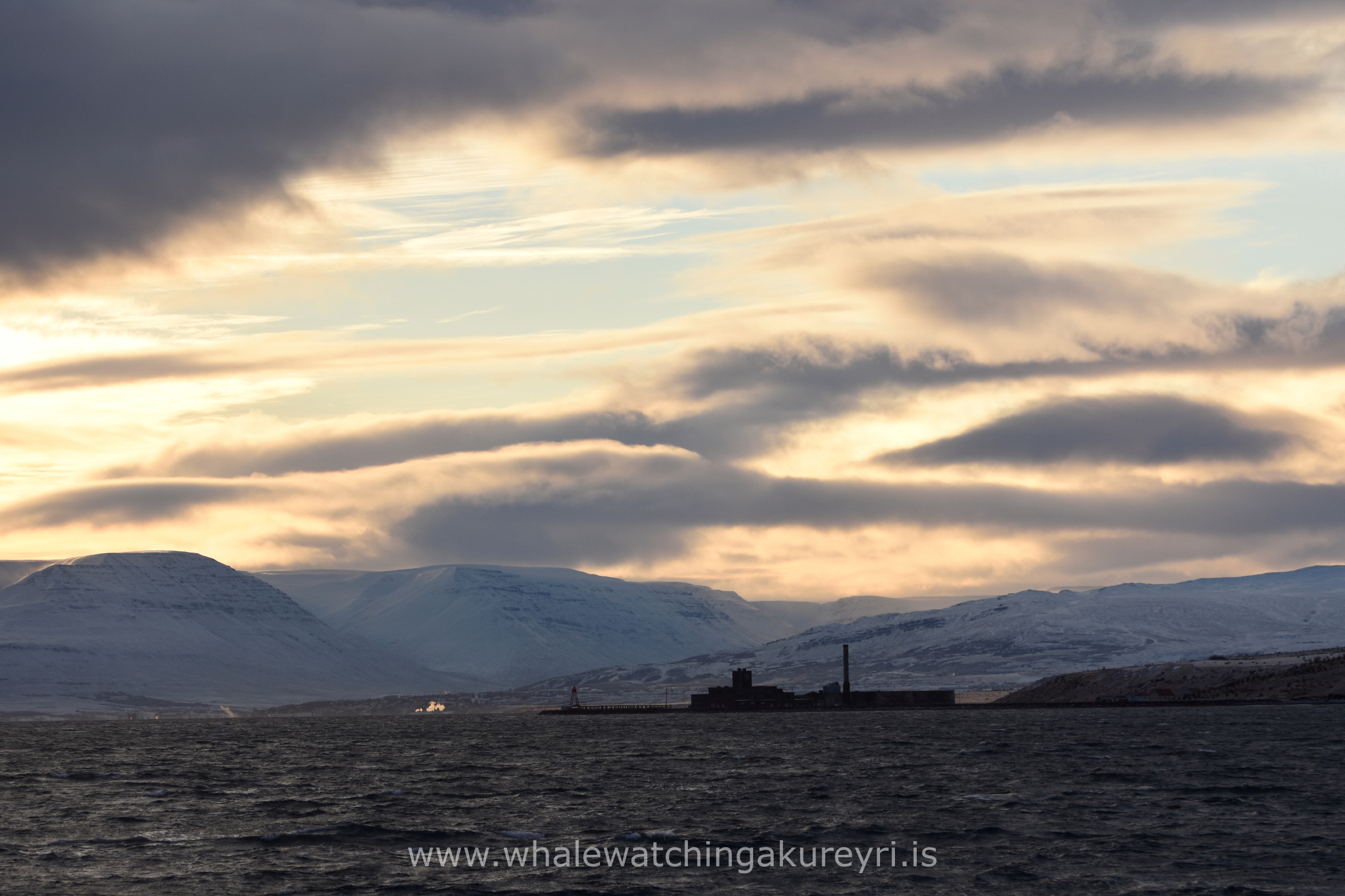 Thursday, 26 January 2017
