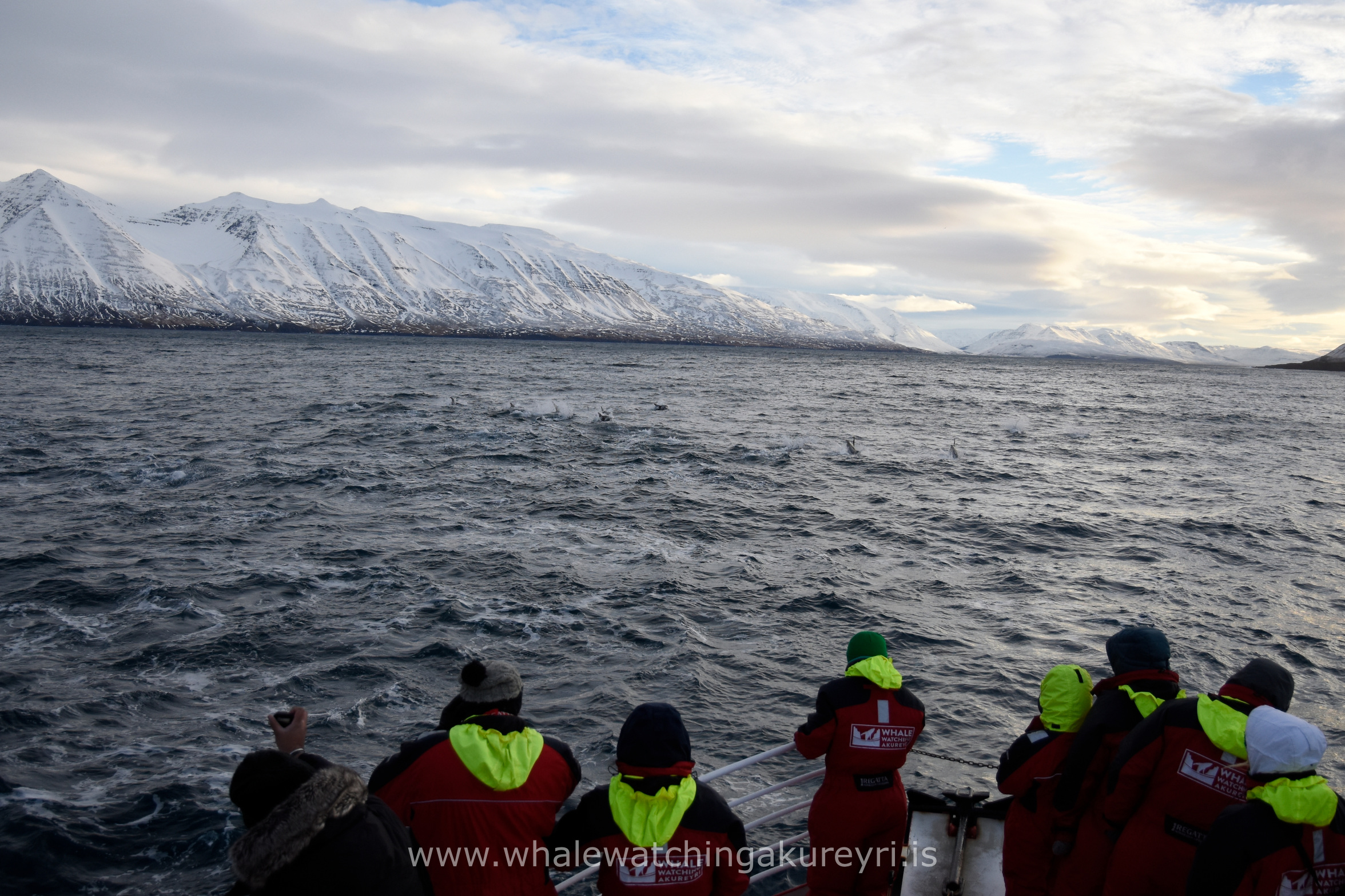 Thursday, 26 January 2017