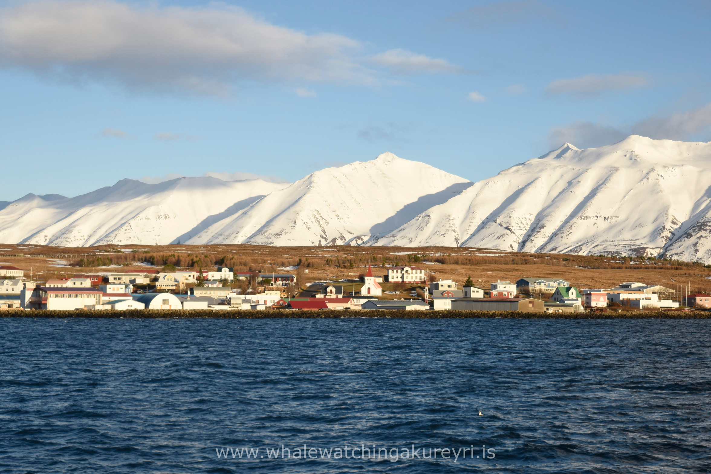 Thursday, 2 February 2017