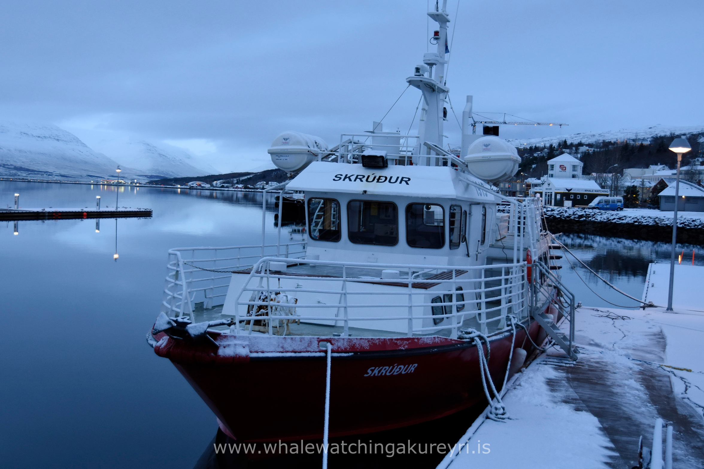 Friday, 3 February 2017