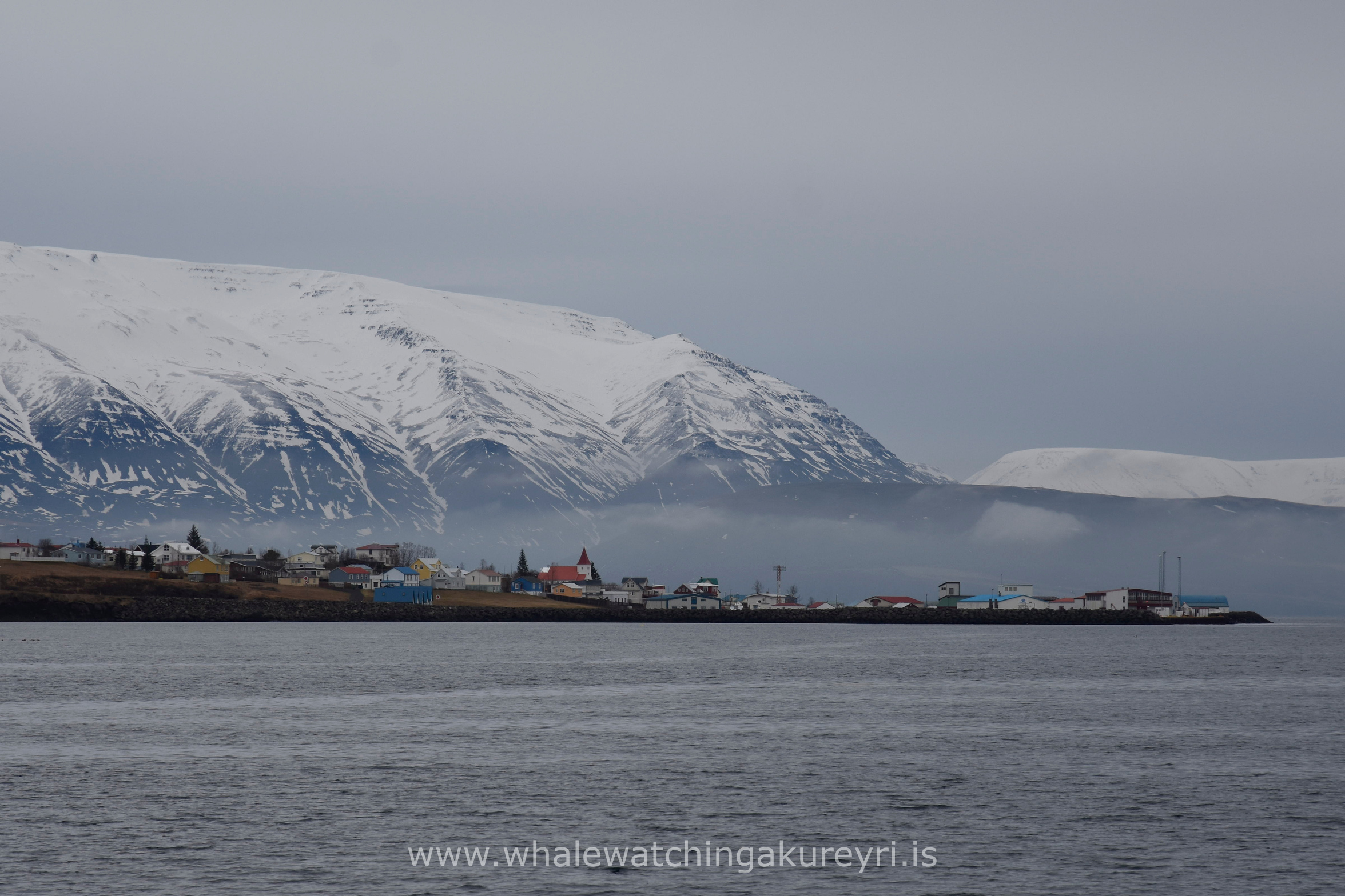 Friday, 17 February 2017