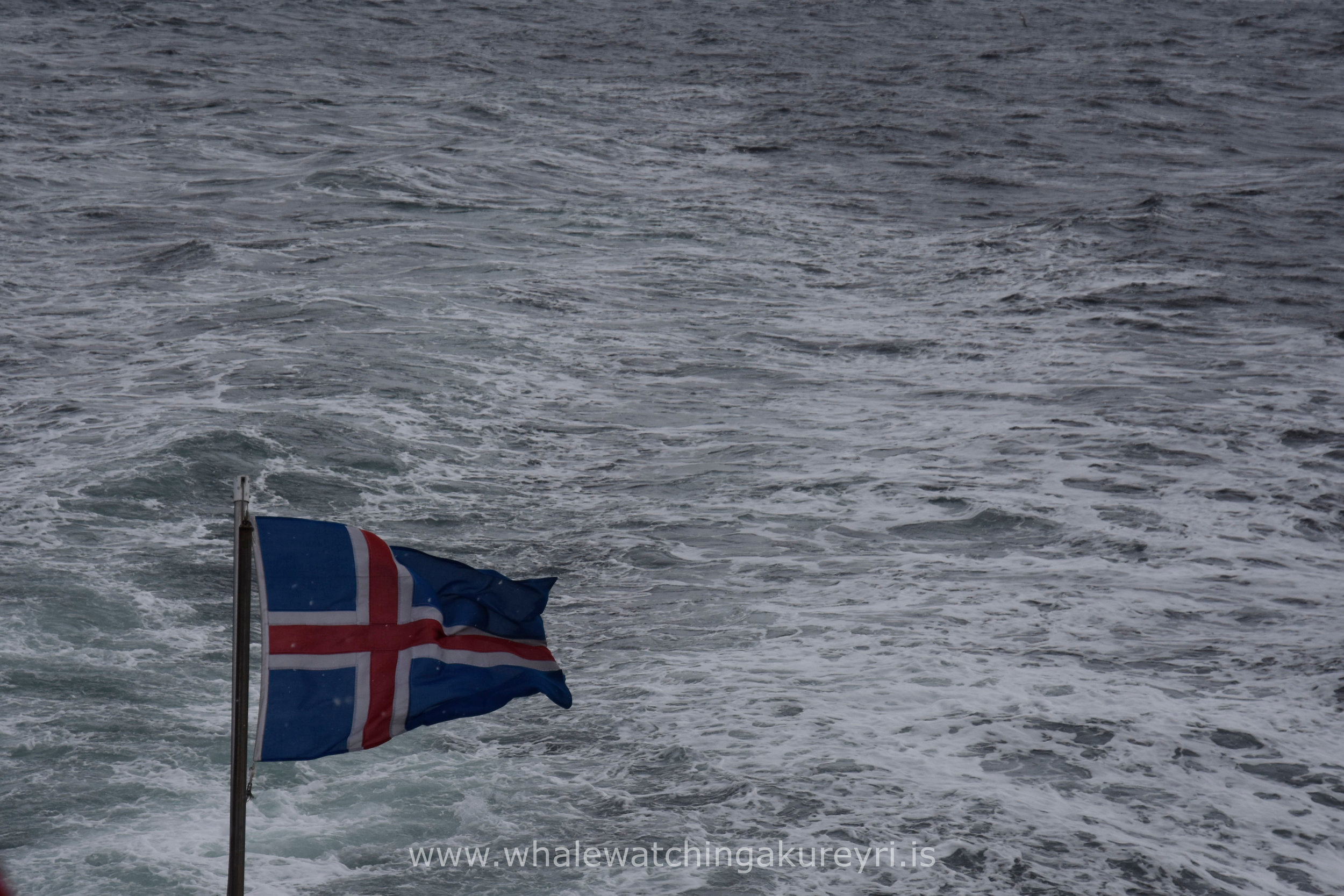 Thursday, 16 March 2017