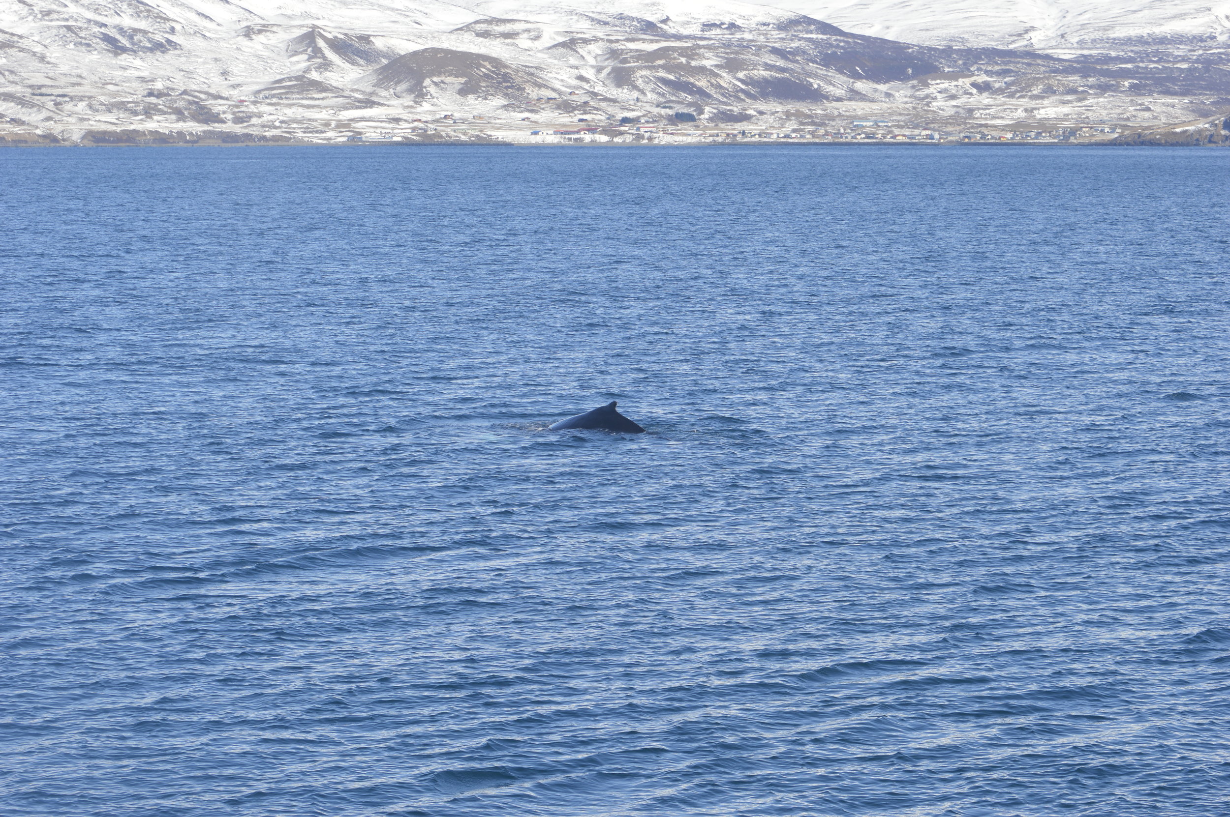 Monday, 24 April 2017