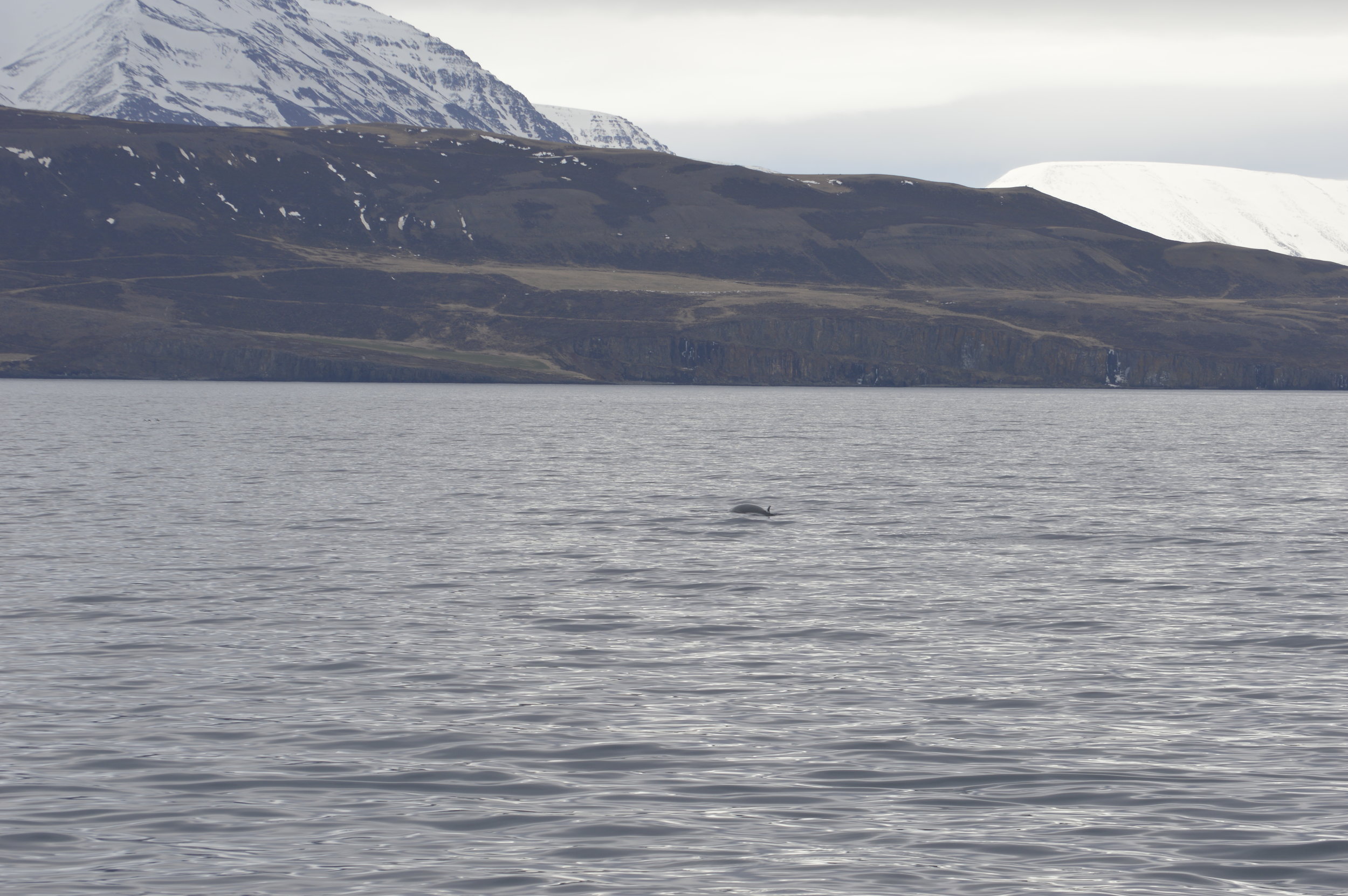 Tuesday, 25 April 2017