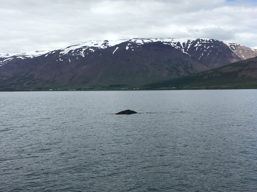 Tuesday, 27 June 2017