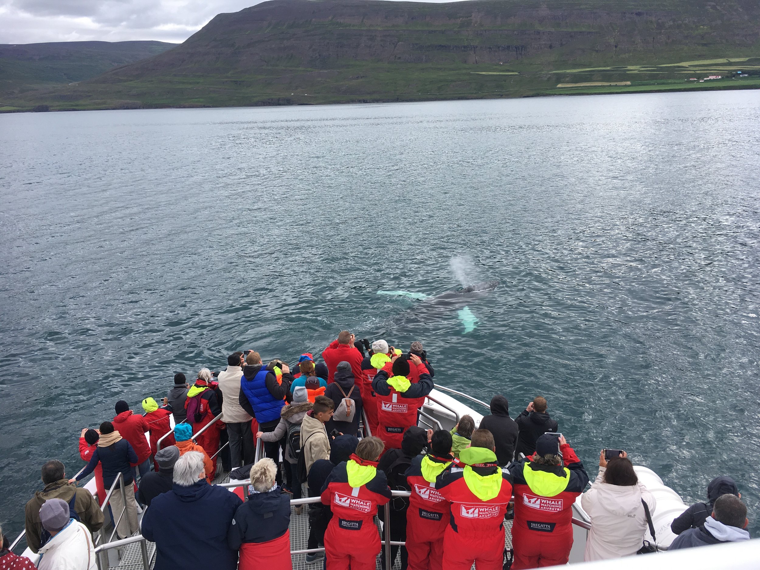 Monday 17 July 2017