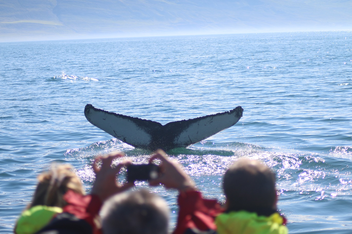 Saturday, 22 July 2017