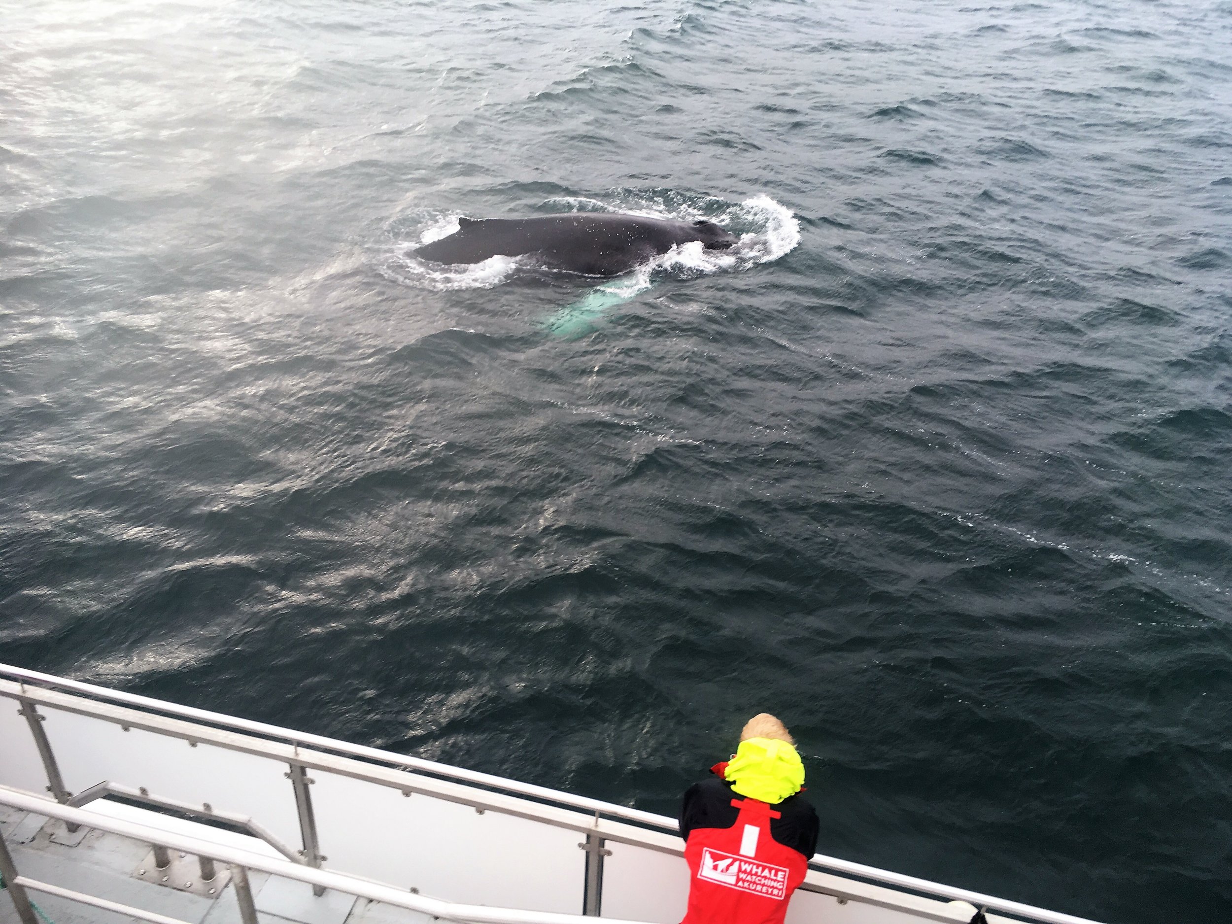 Friday, 13 October 2017