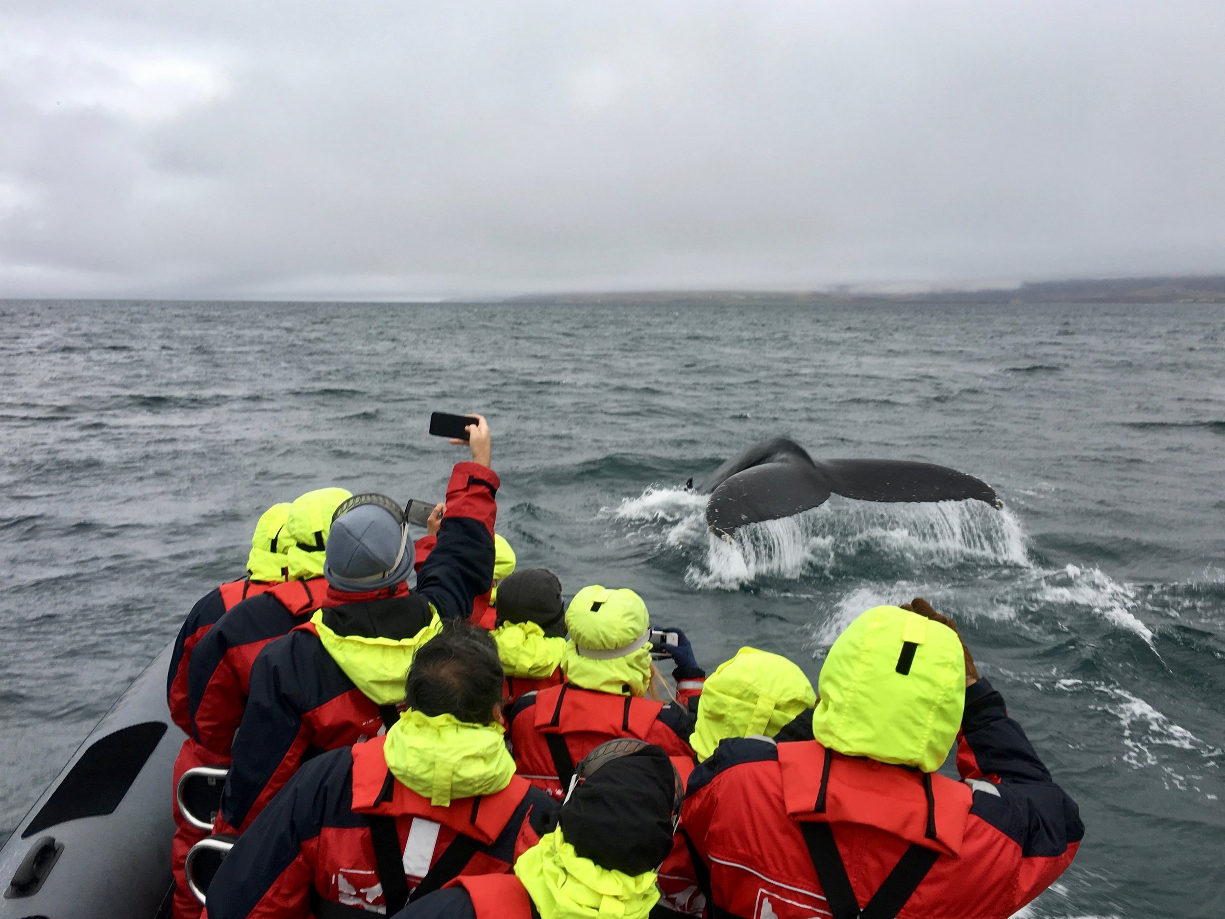 Wednesday, 25 October 2017