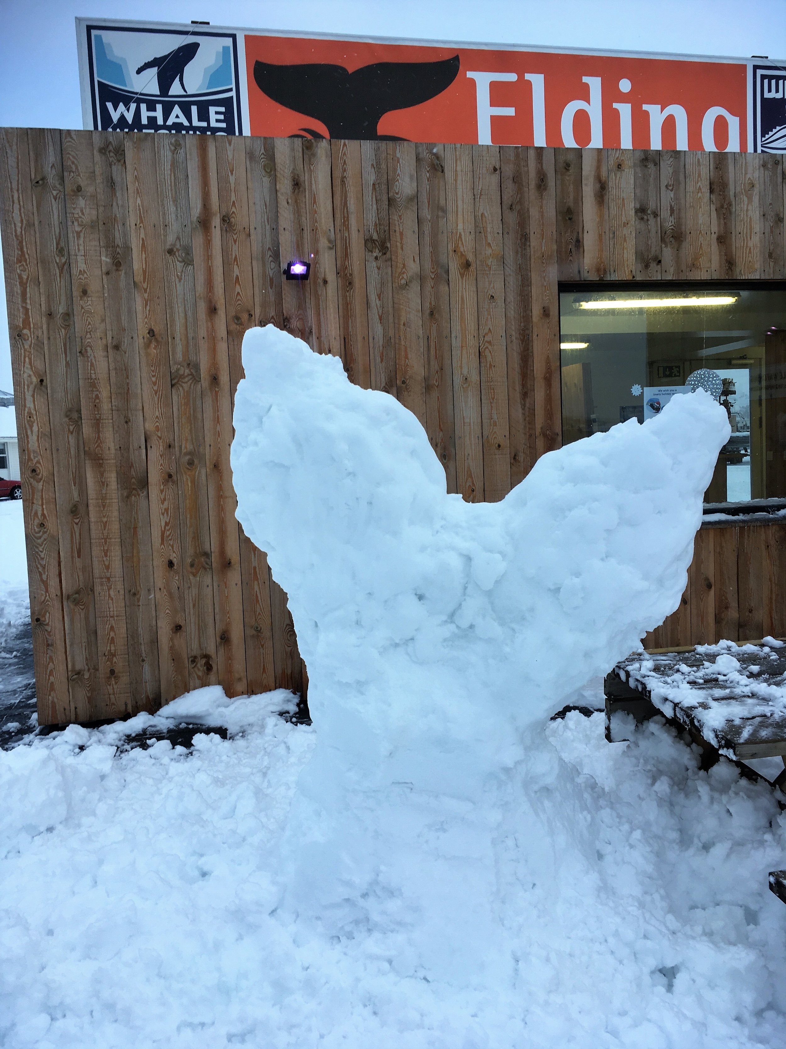 Tuesday, 21 November 2017