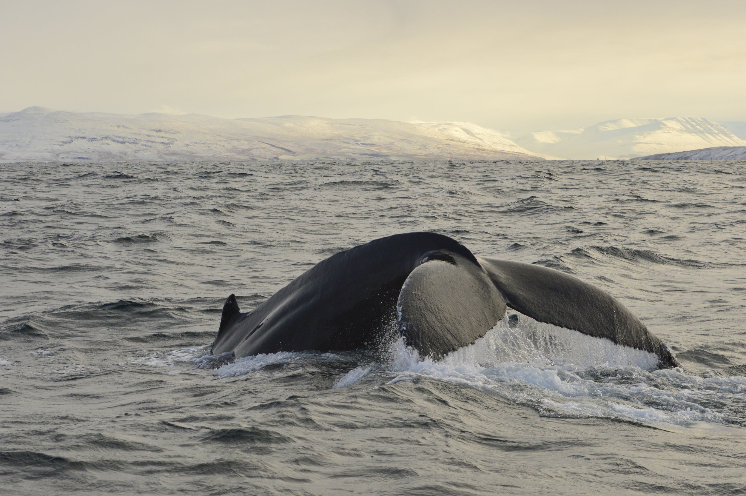 Thursday, 25 October 2018