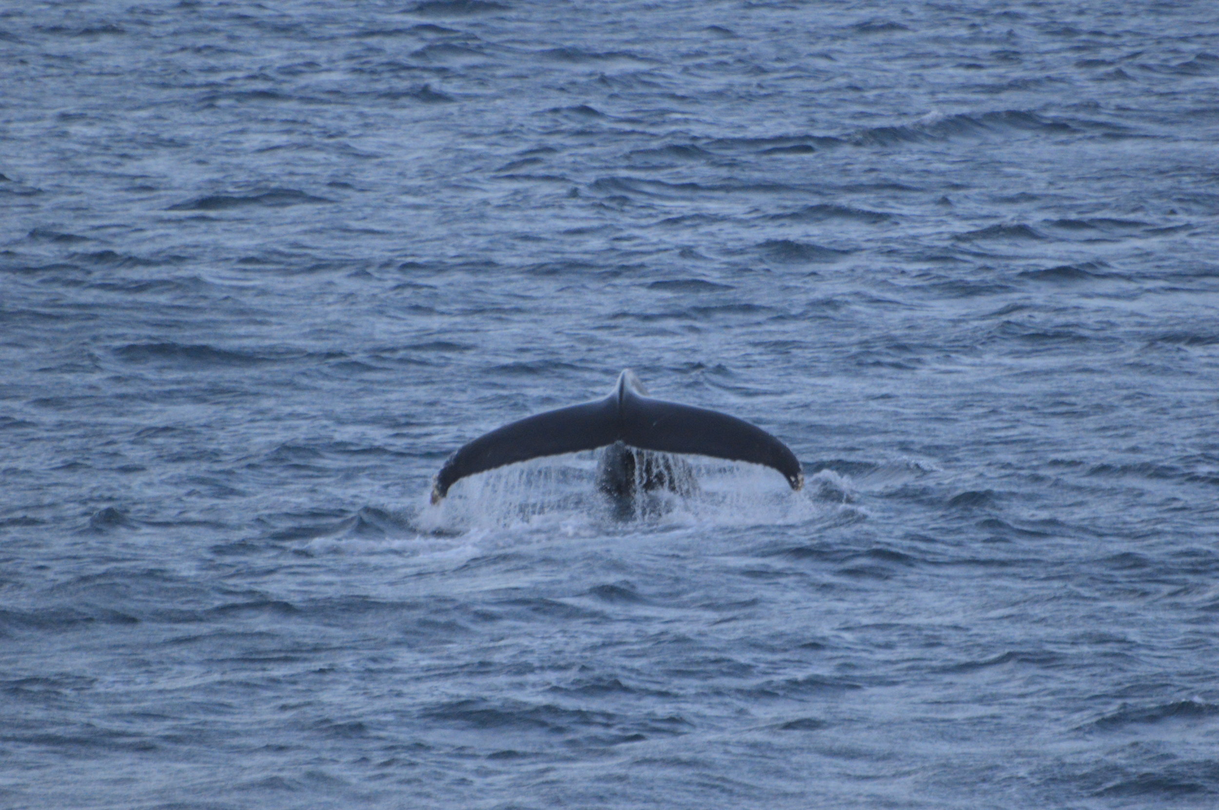 Wednesday, 12 December 2018