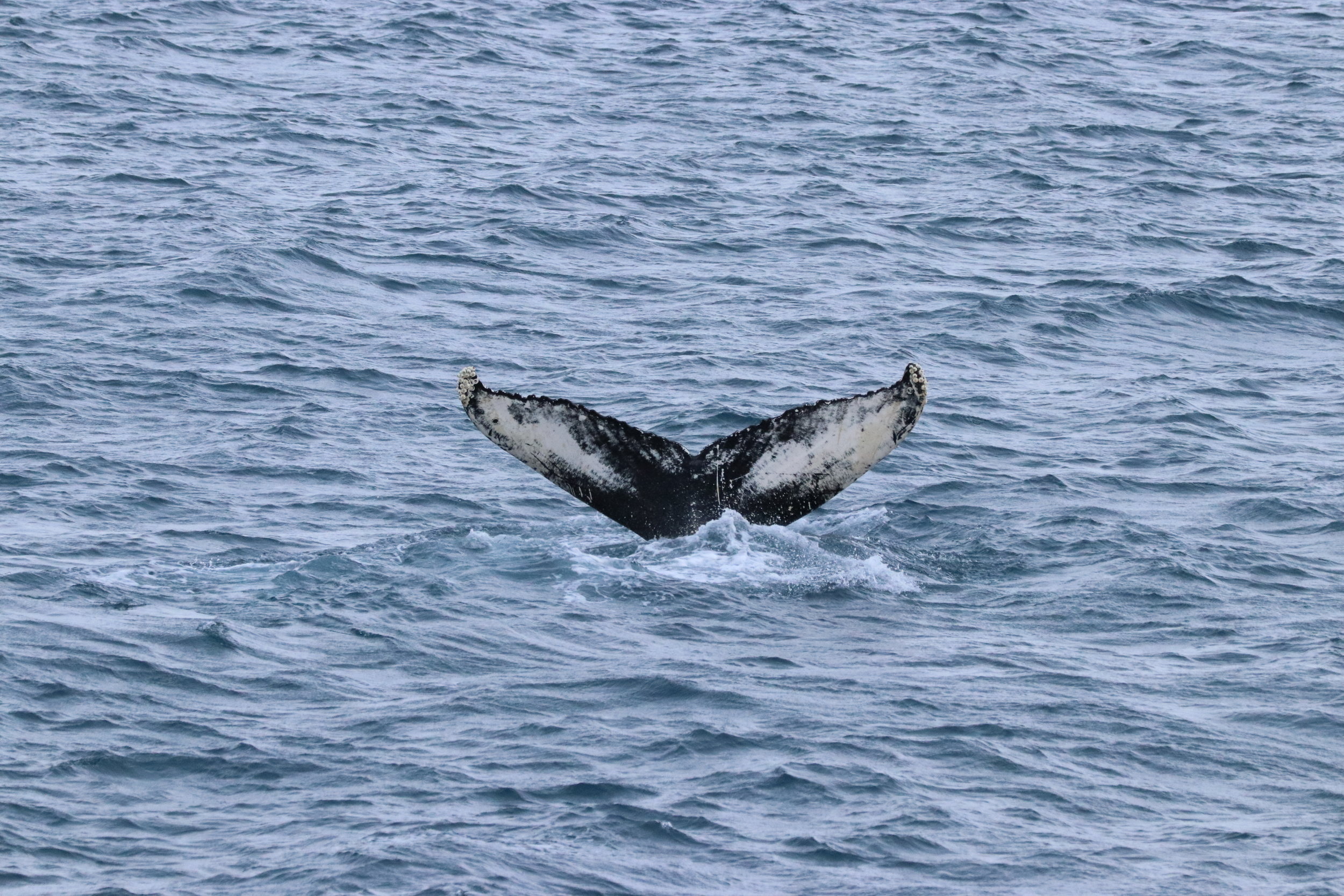 Monday, 11 February 2019