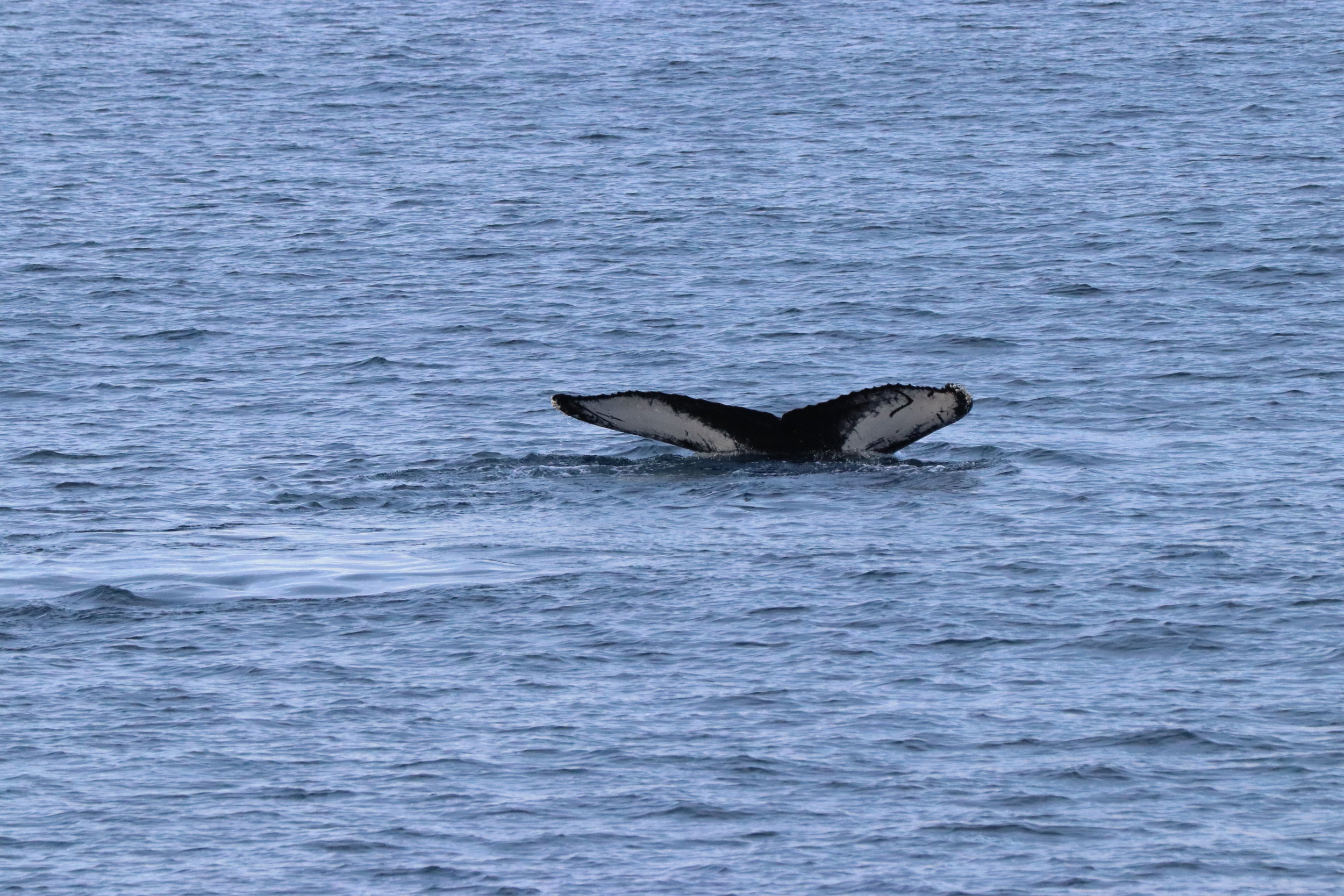 Friday, 15 February 2019