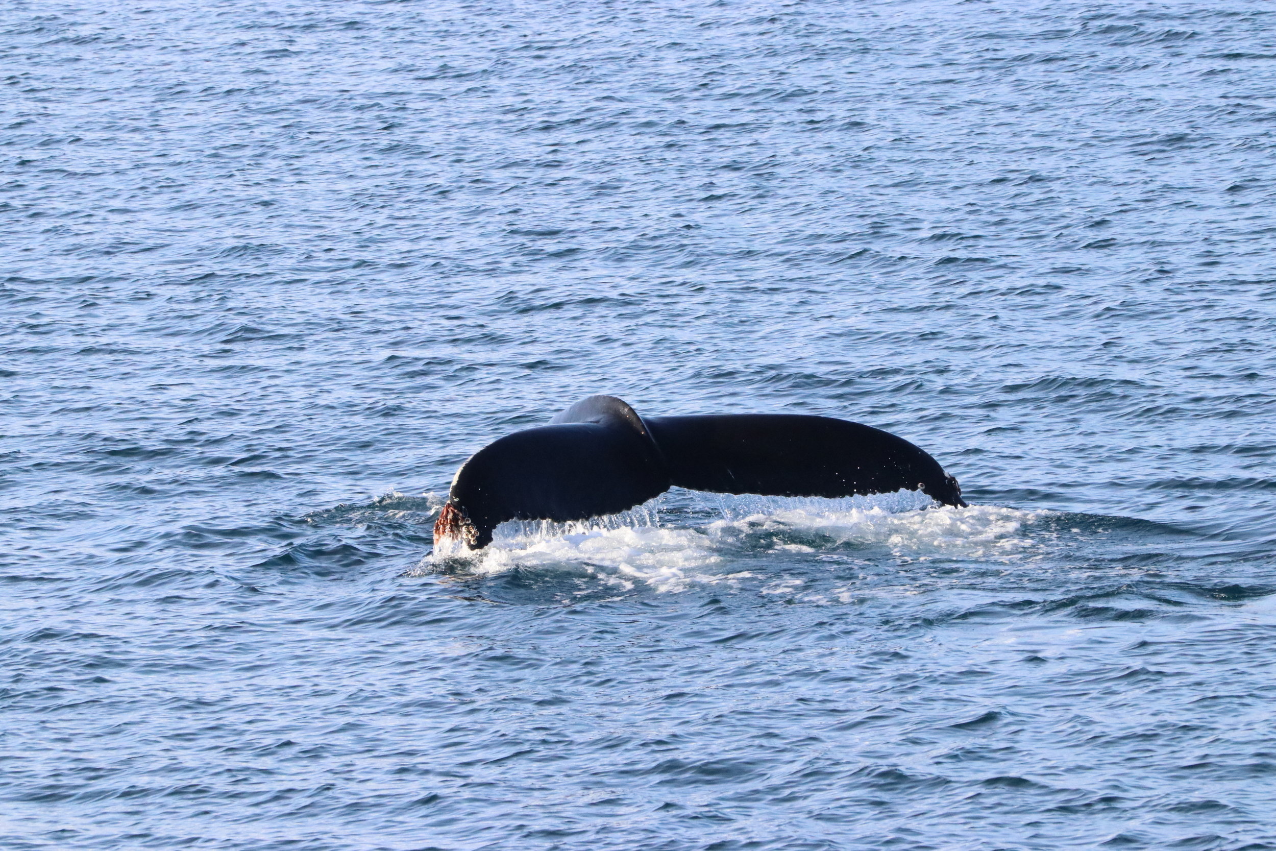 Tuesday, 19 February 2019