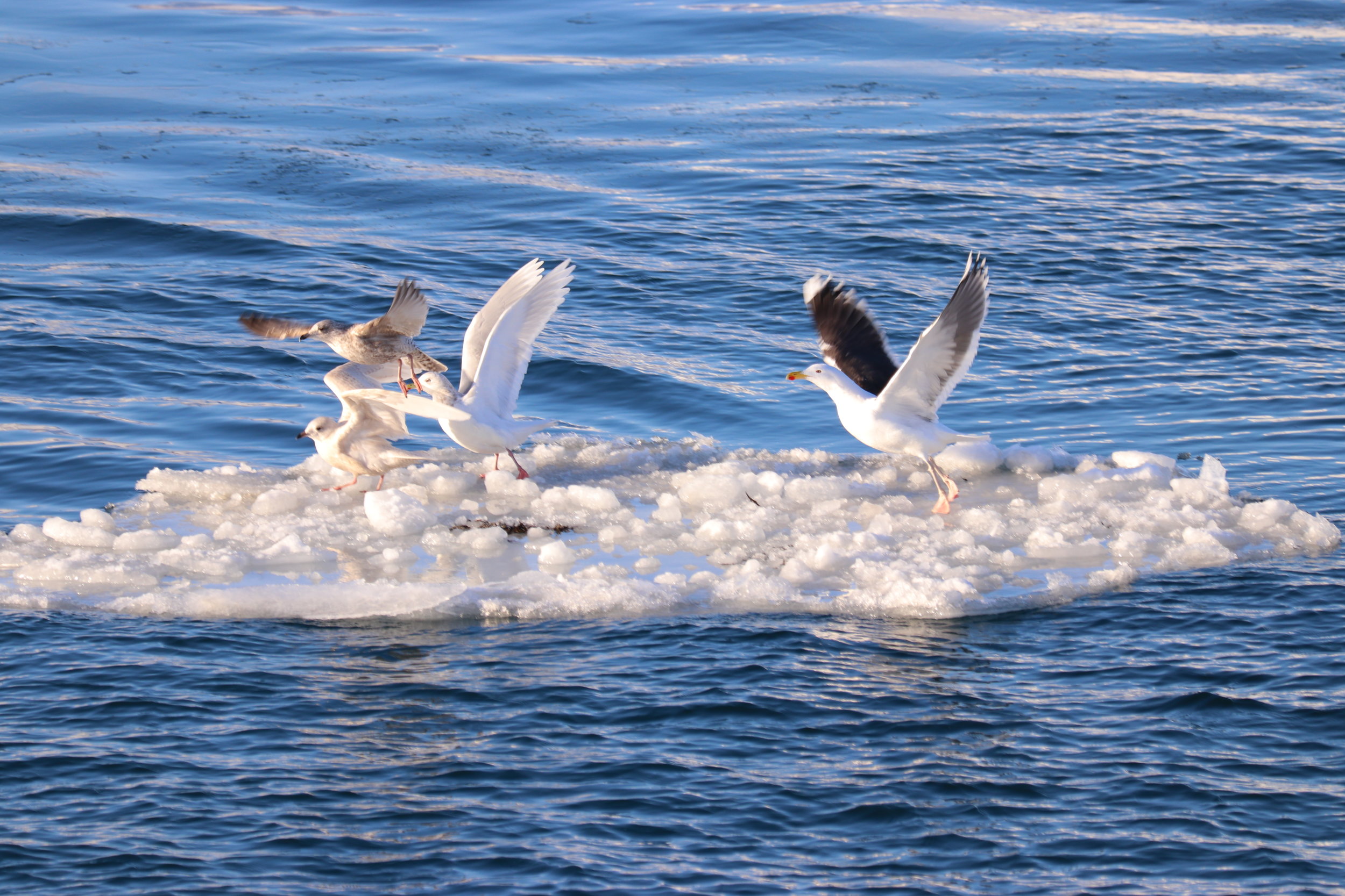 Tuesday, 19 February 2019