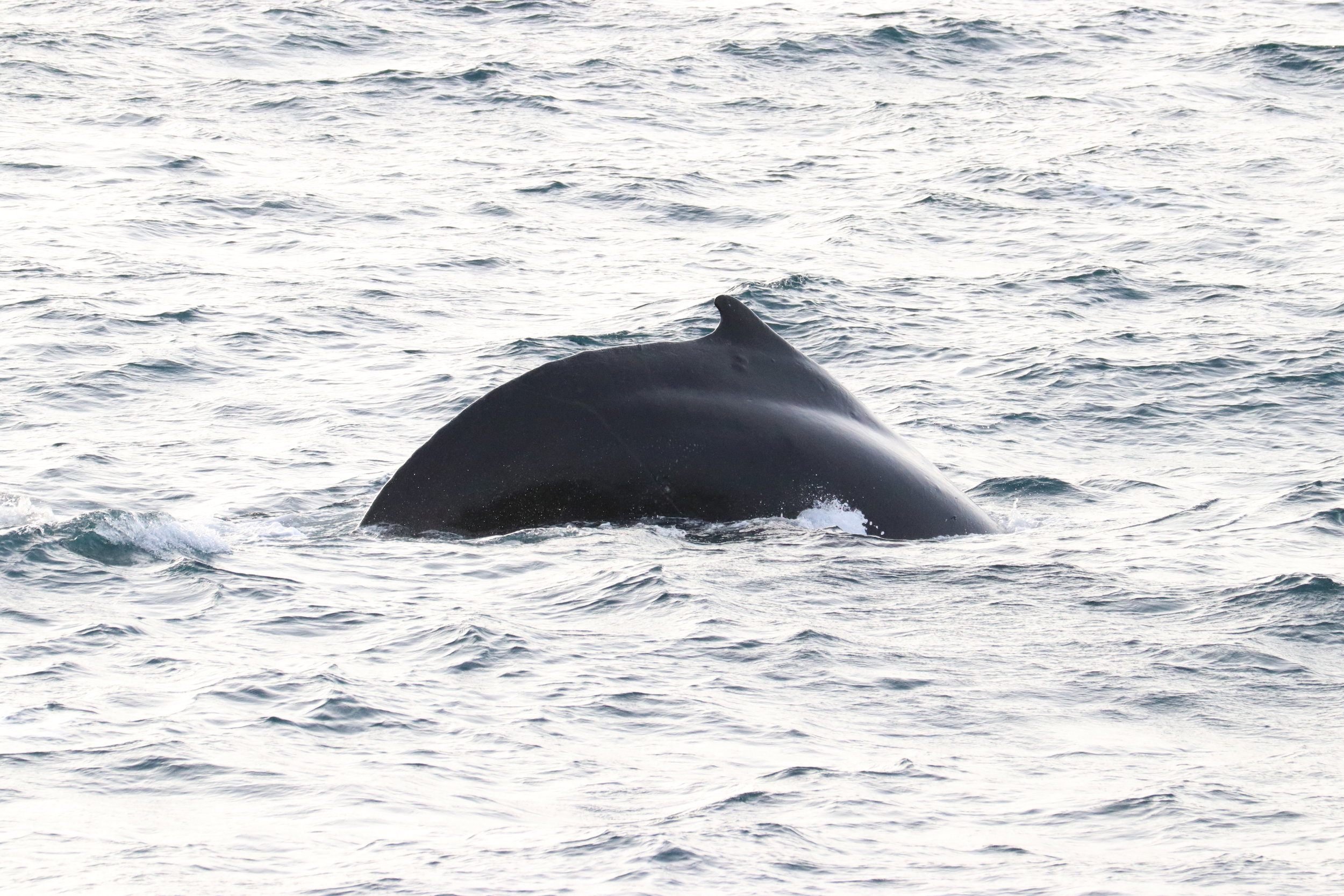 Monday, 25 February 2019
