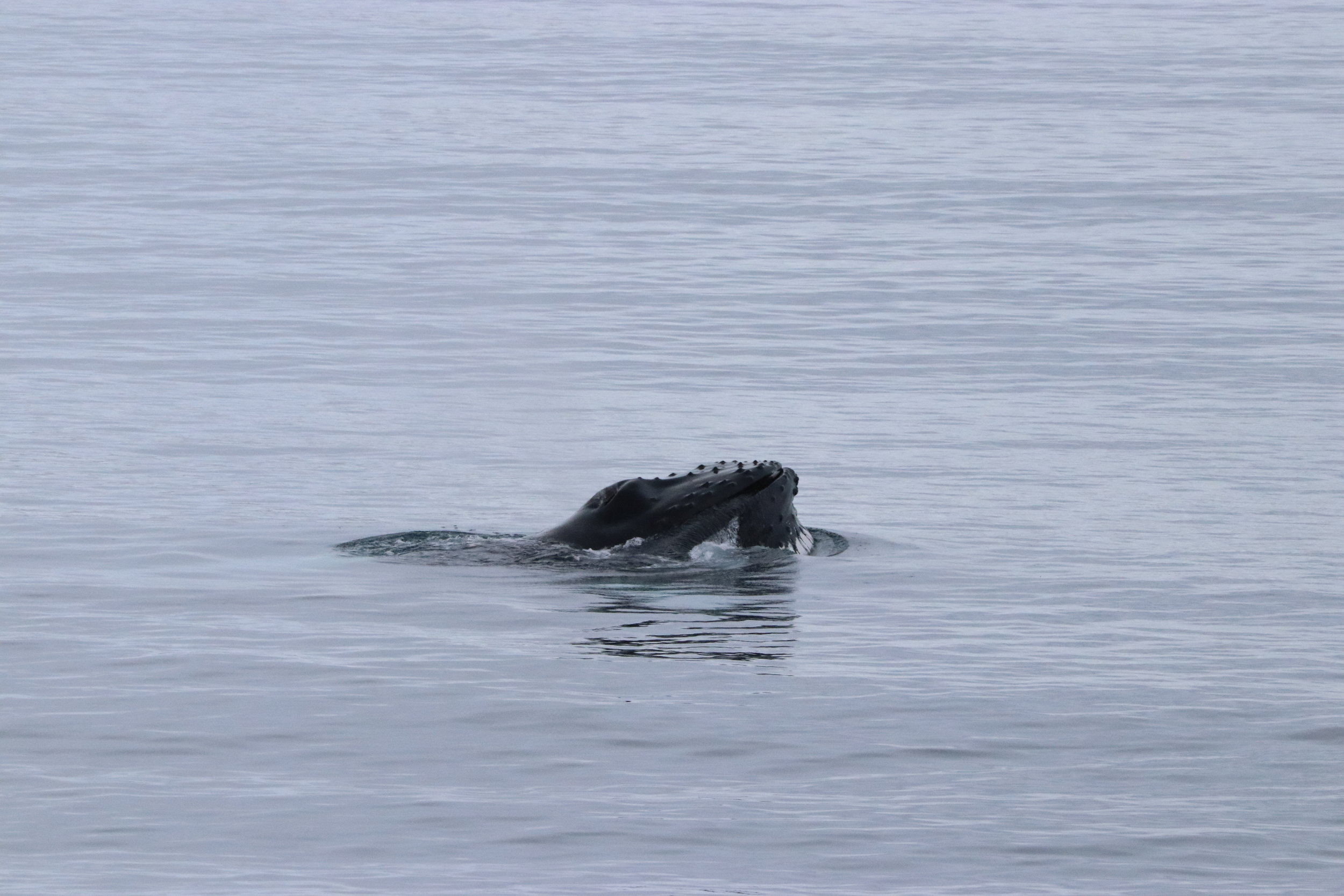 Wednesday, 27 February 2019