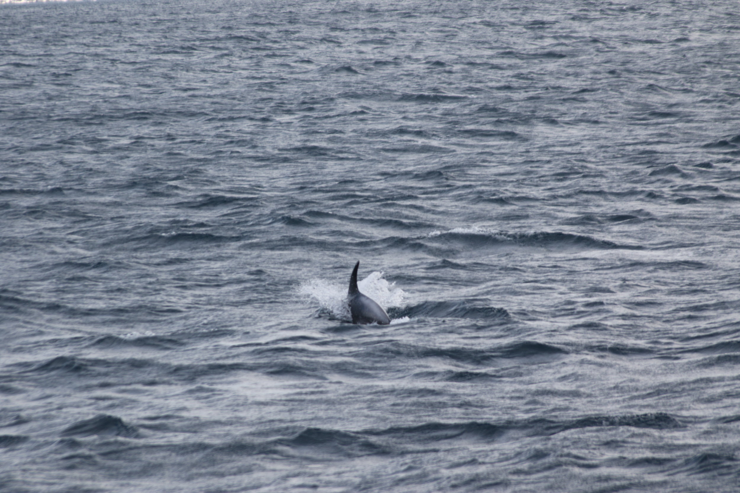 Tuesday, 19 March 2019