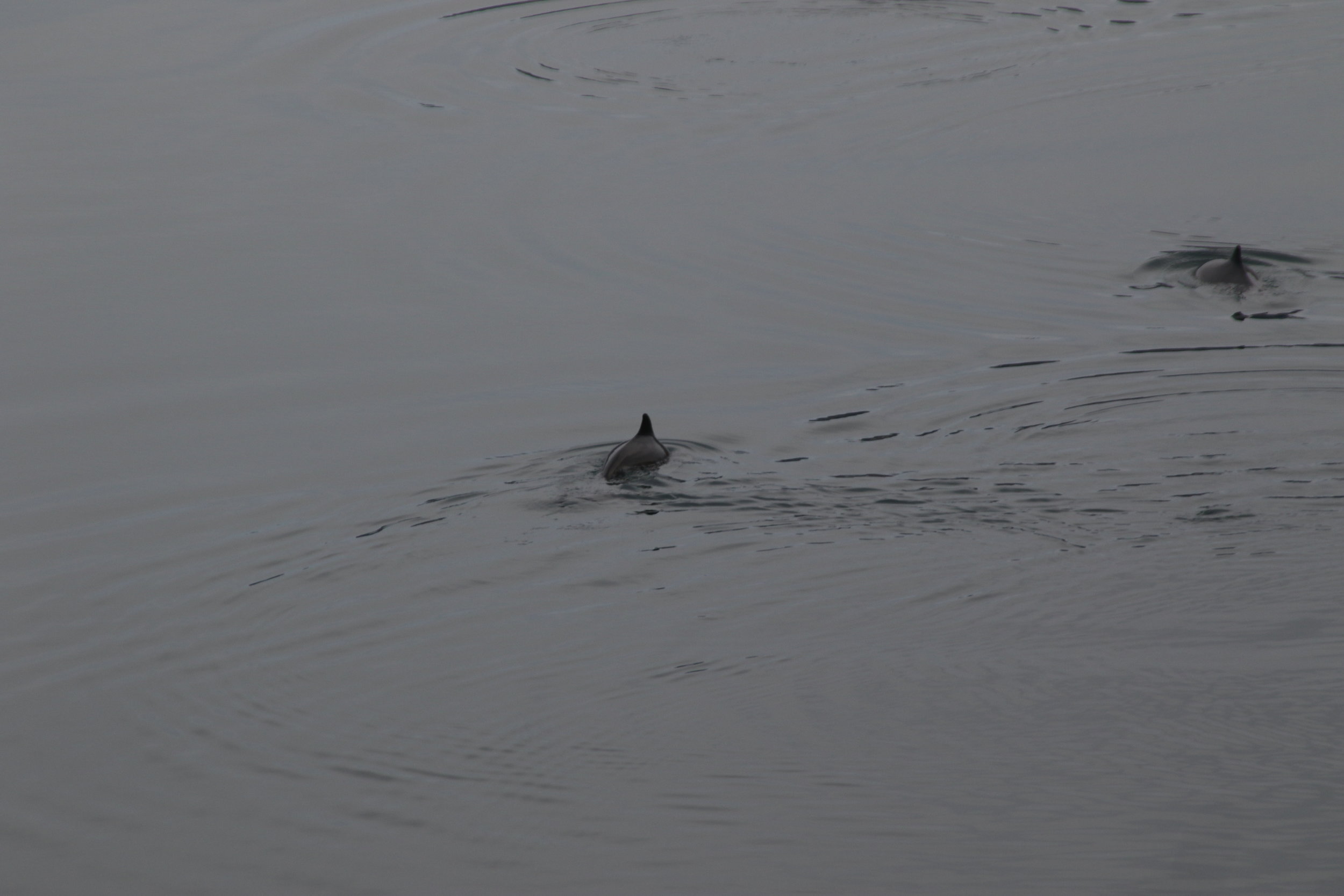 Wednesday, 24 April 2019