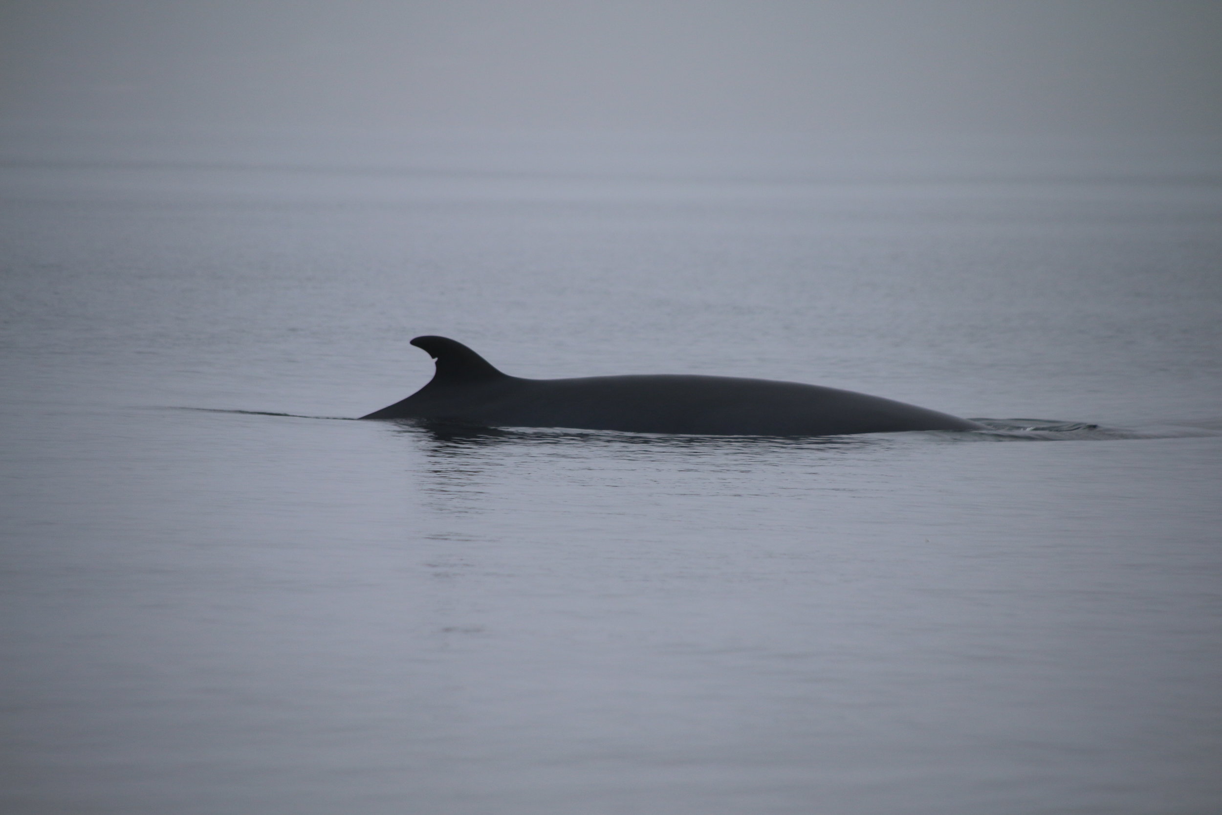 Wednesday, 01 May 2019