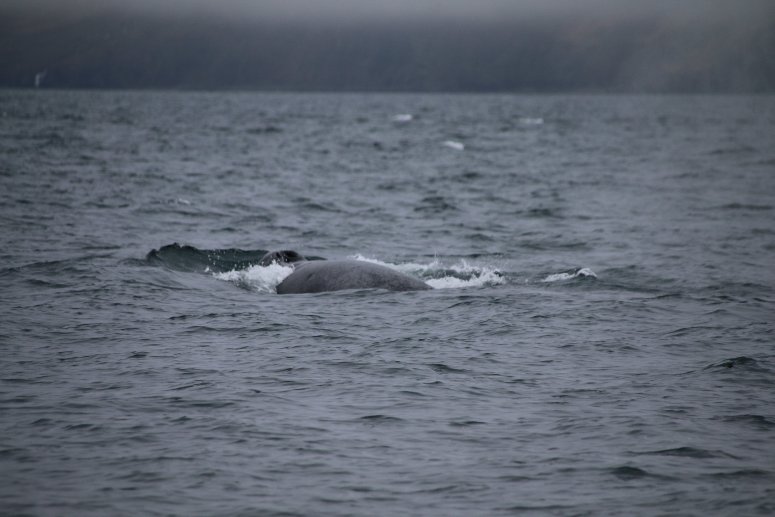 Wednesday, 01 May 2019