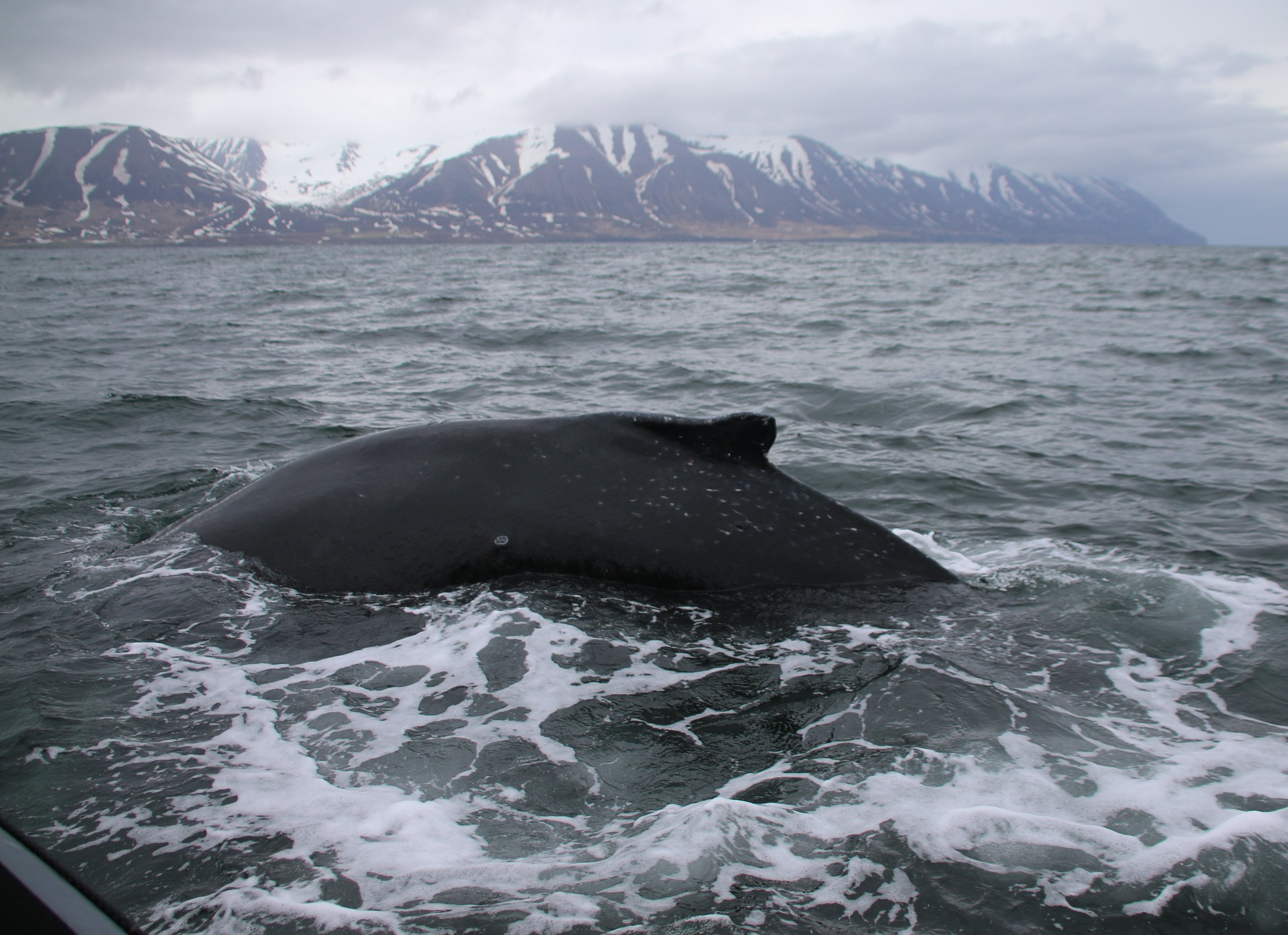 Thursday, 2 May 2019