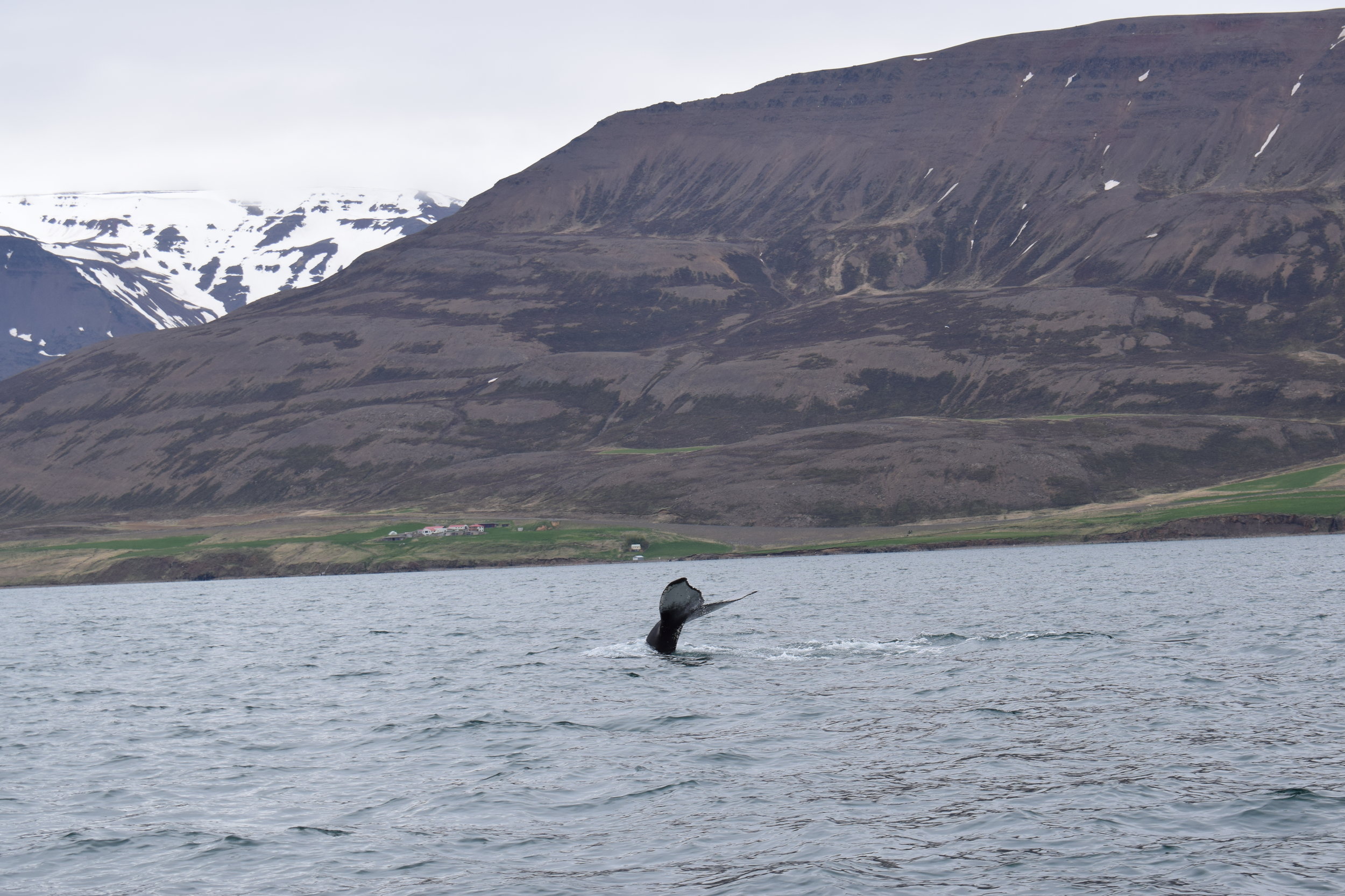 Tuesday, 07 May 2019