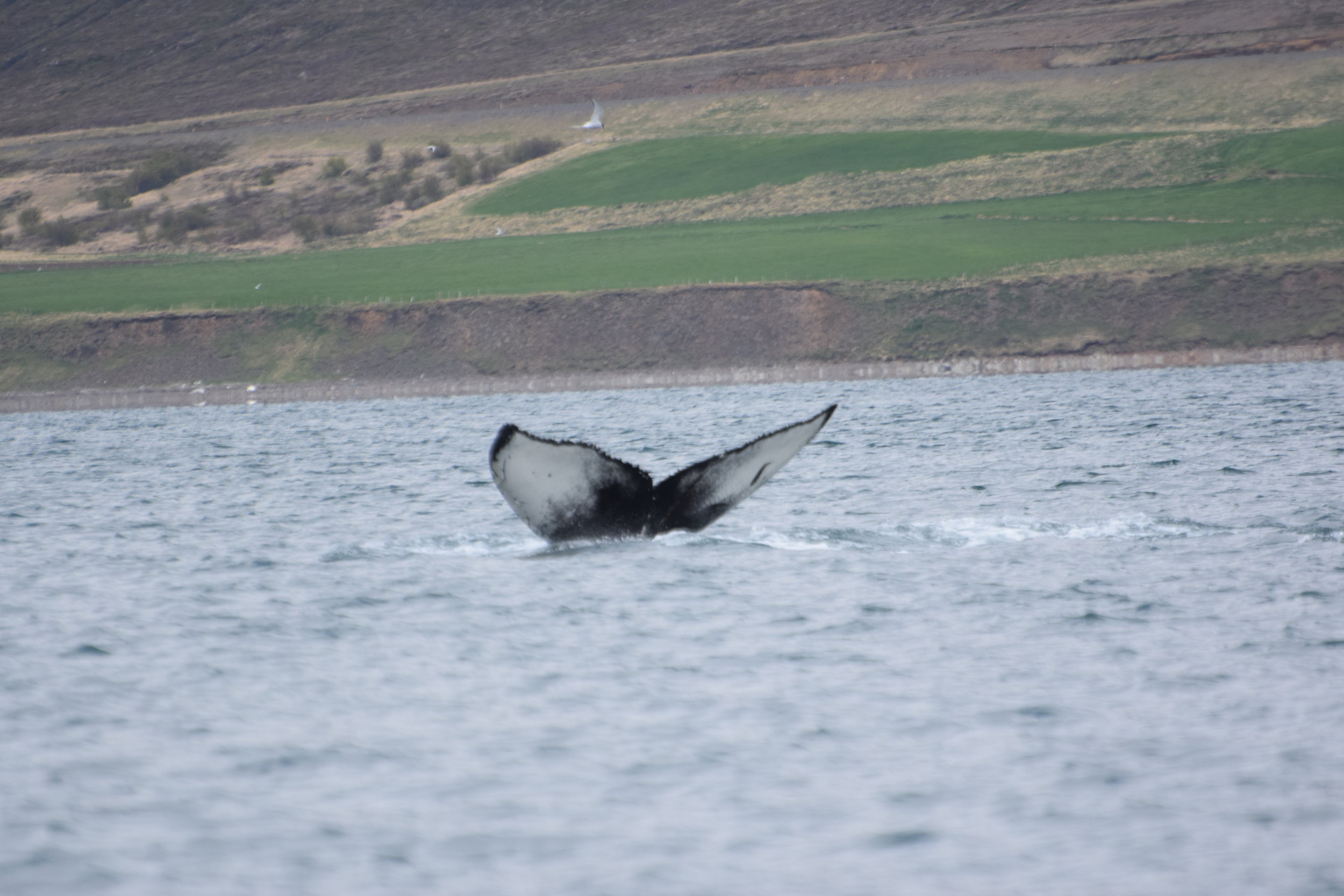 Tuesday, 07 May 2019
