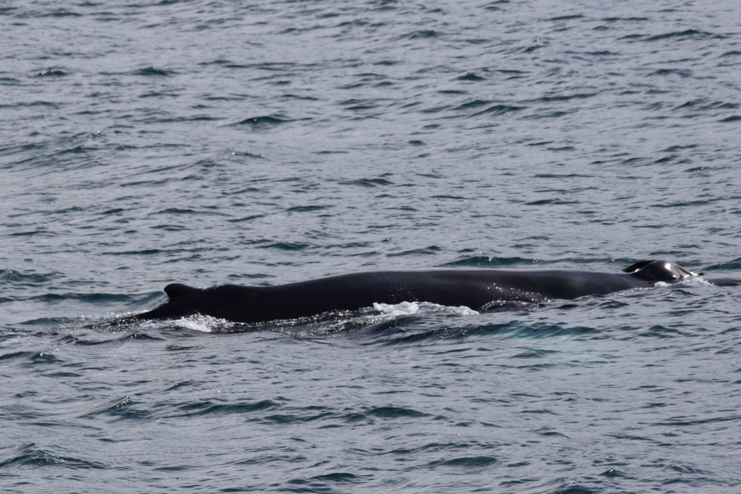 Wednesday, 08 May 2019