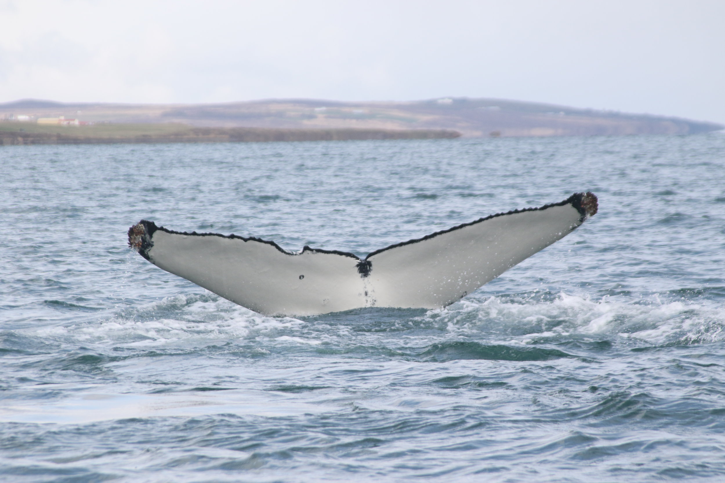 Friday, 10 May 2019