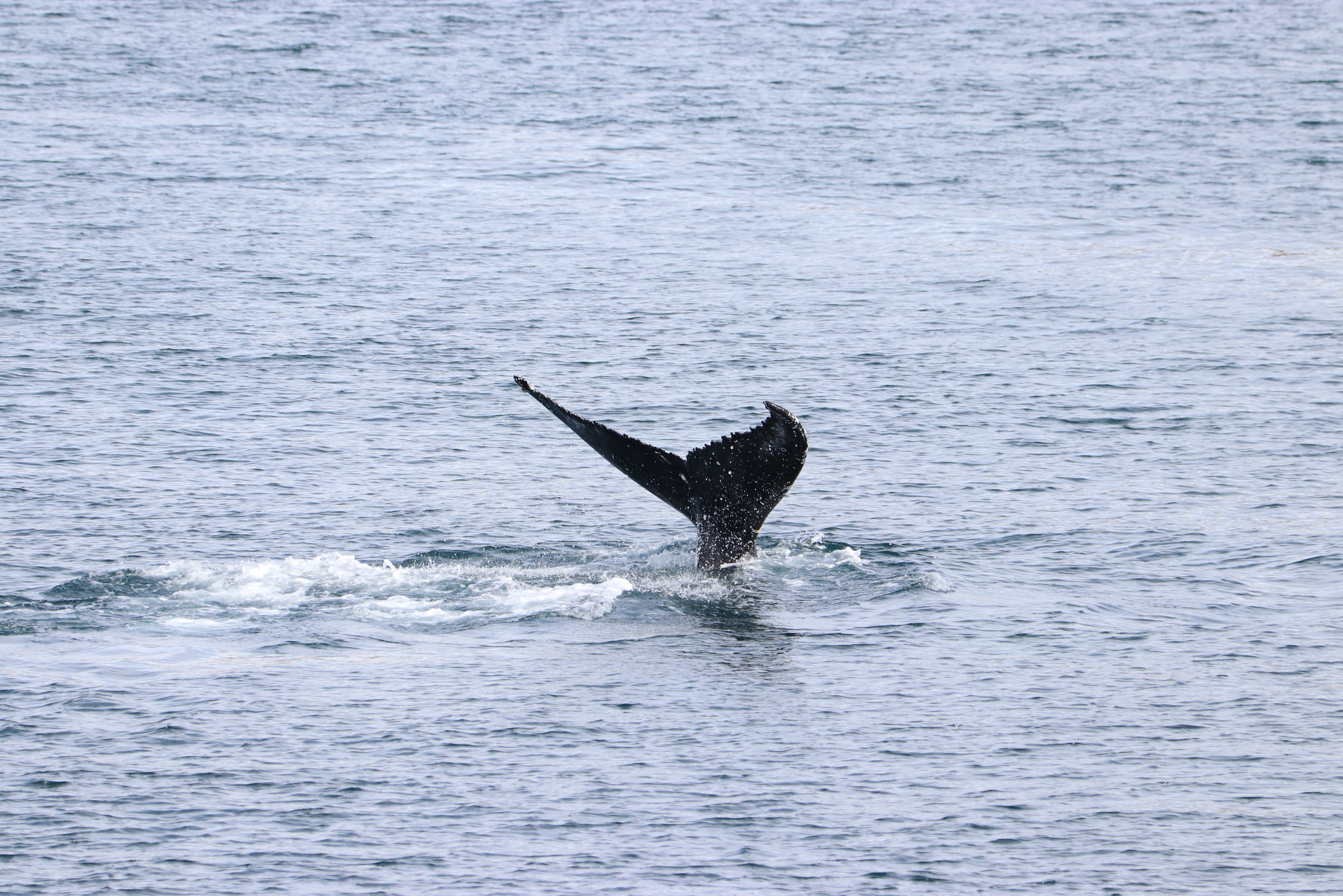 Tuesday, 21 May 2019