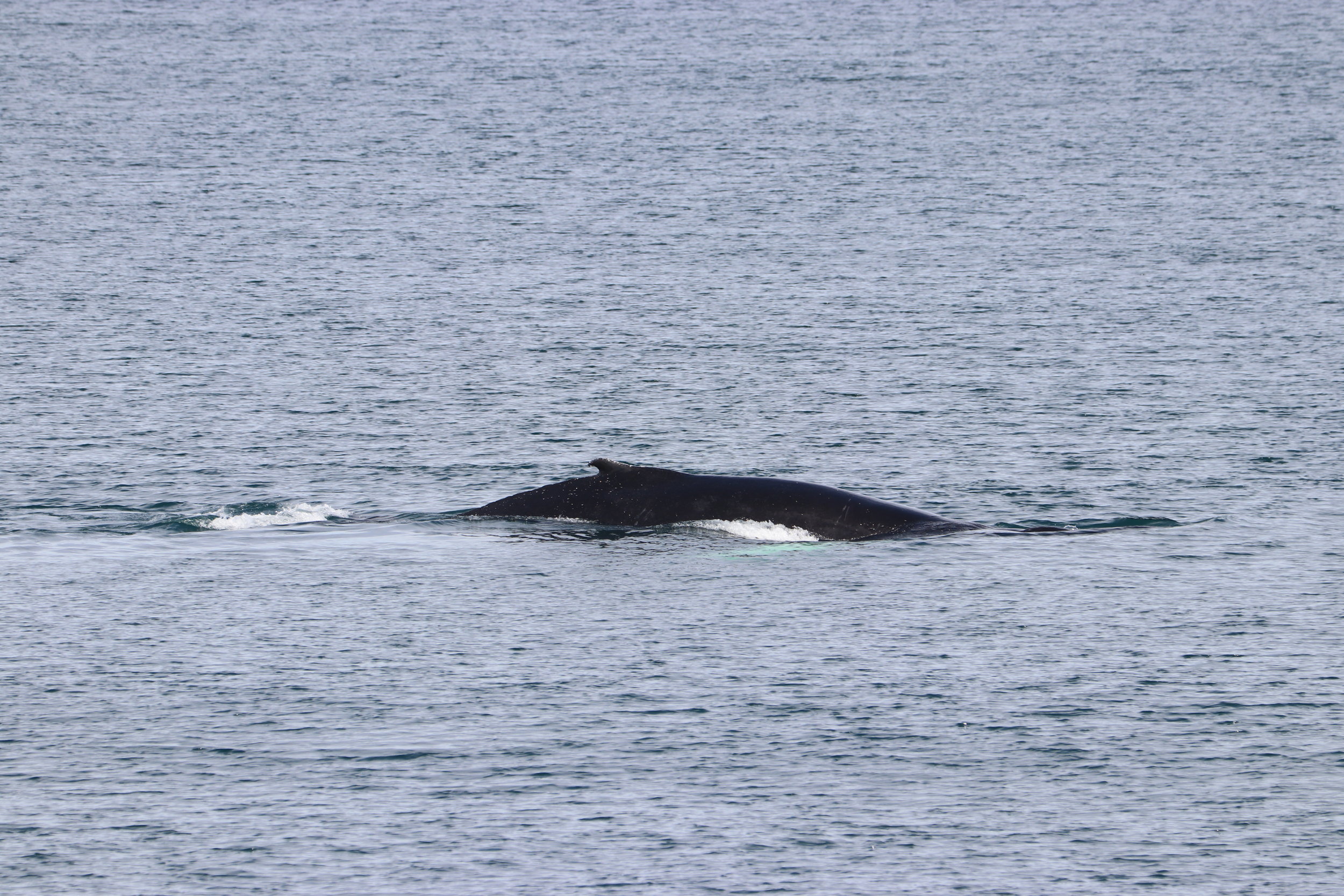 Tuesday, 21 May 2019