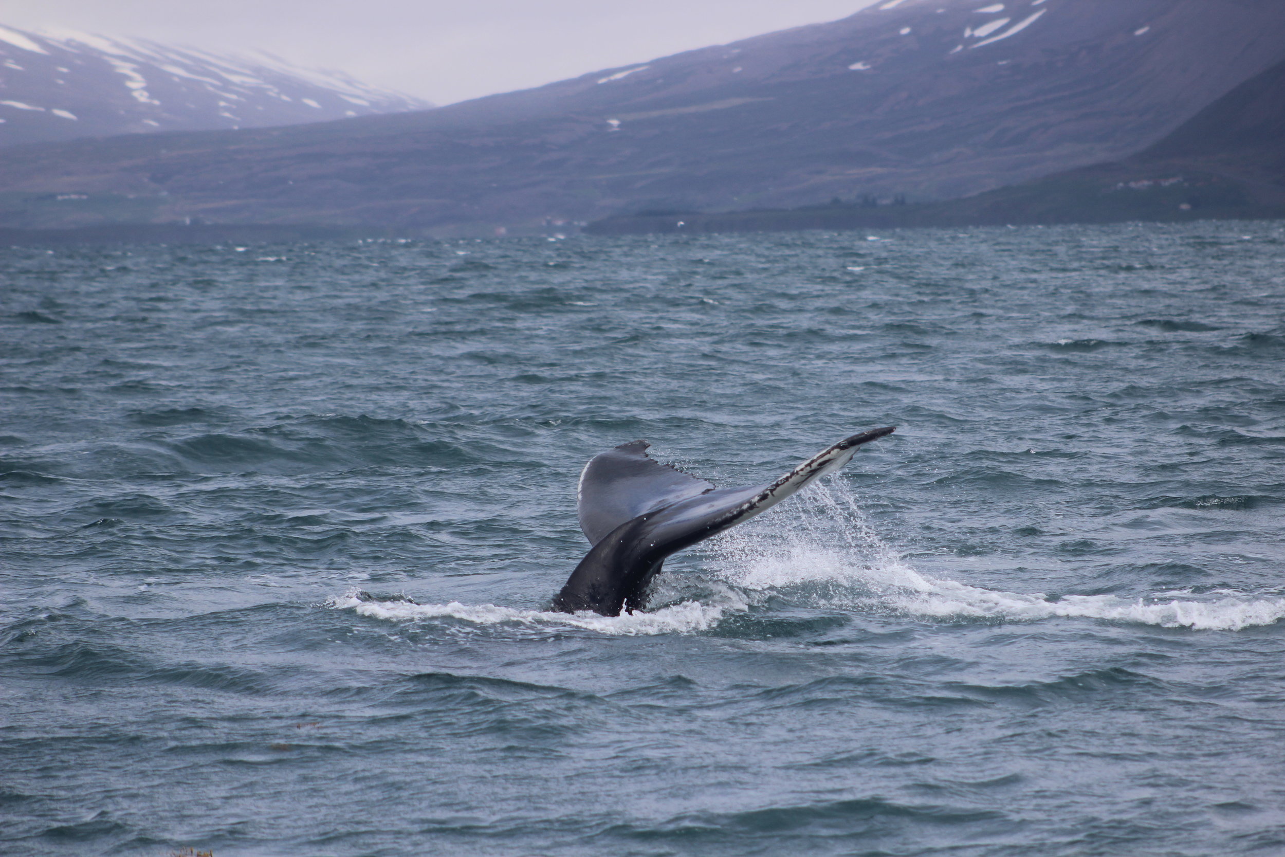 Wednesday, 29 May 2019