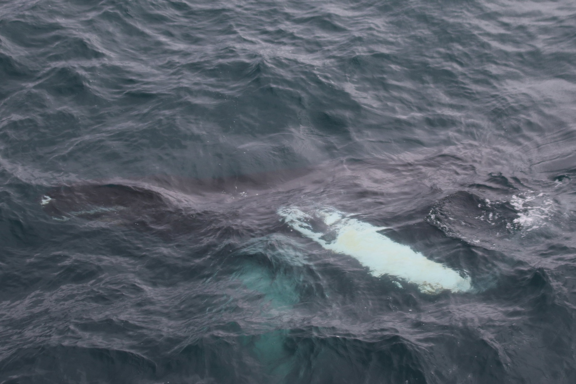 Tuesday, 4 June 2019
