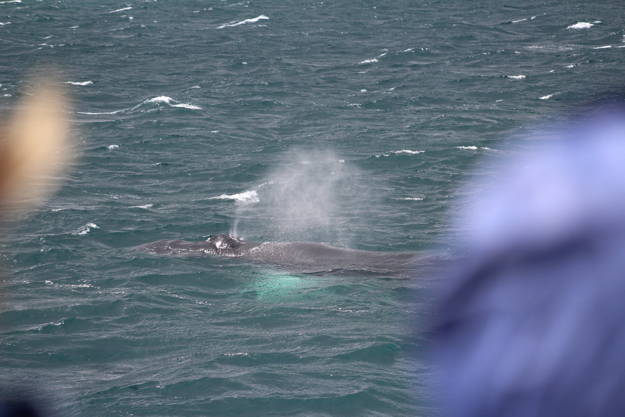 Tuesday, 25 June 2019