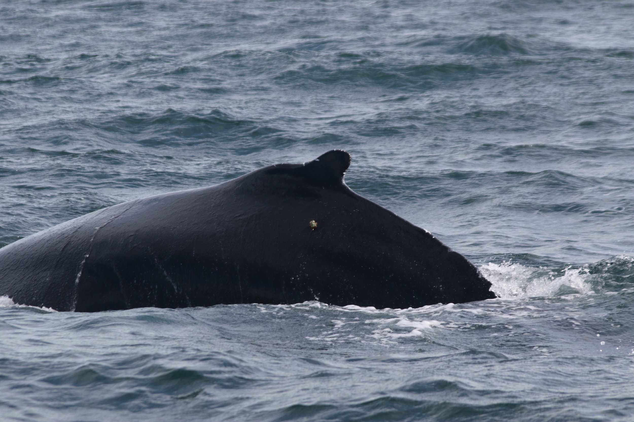 Wednesday, 17 July 2019