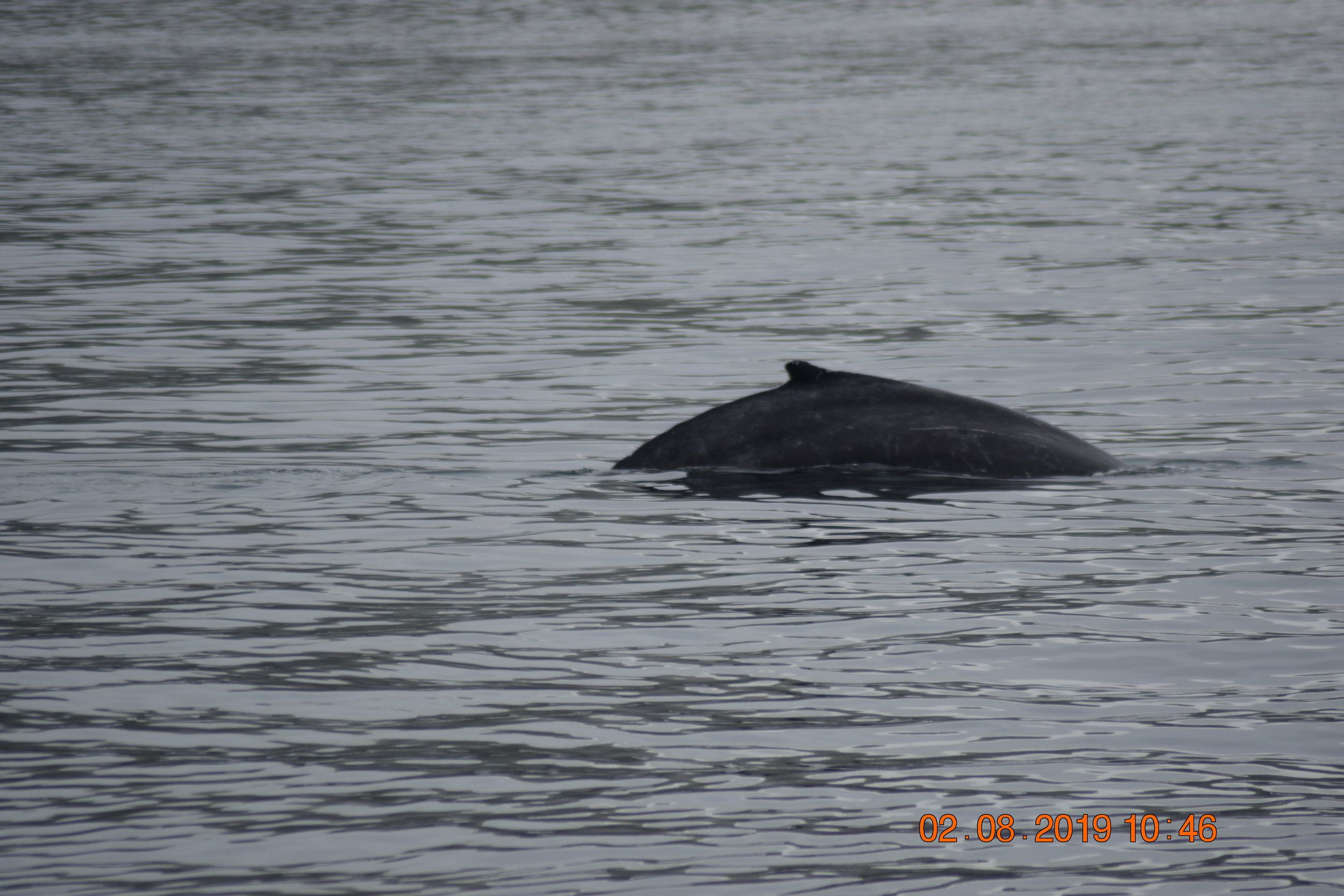 Friday, 02 August 2019