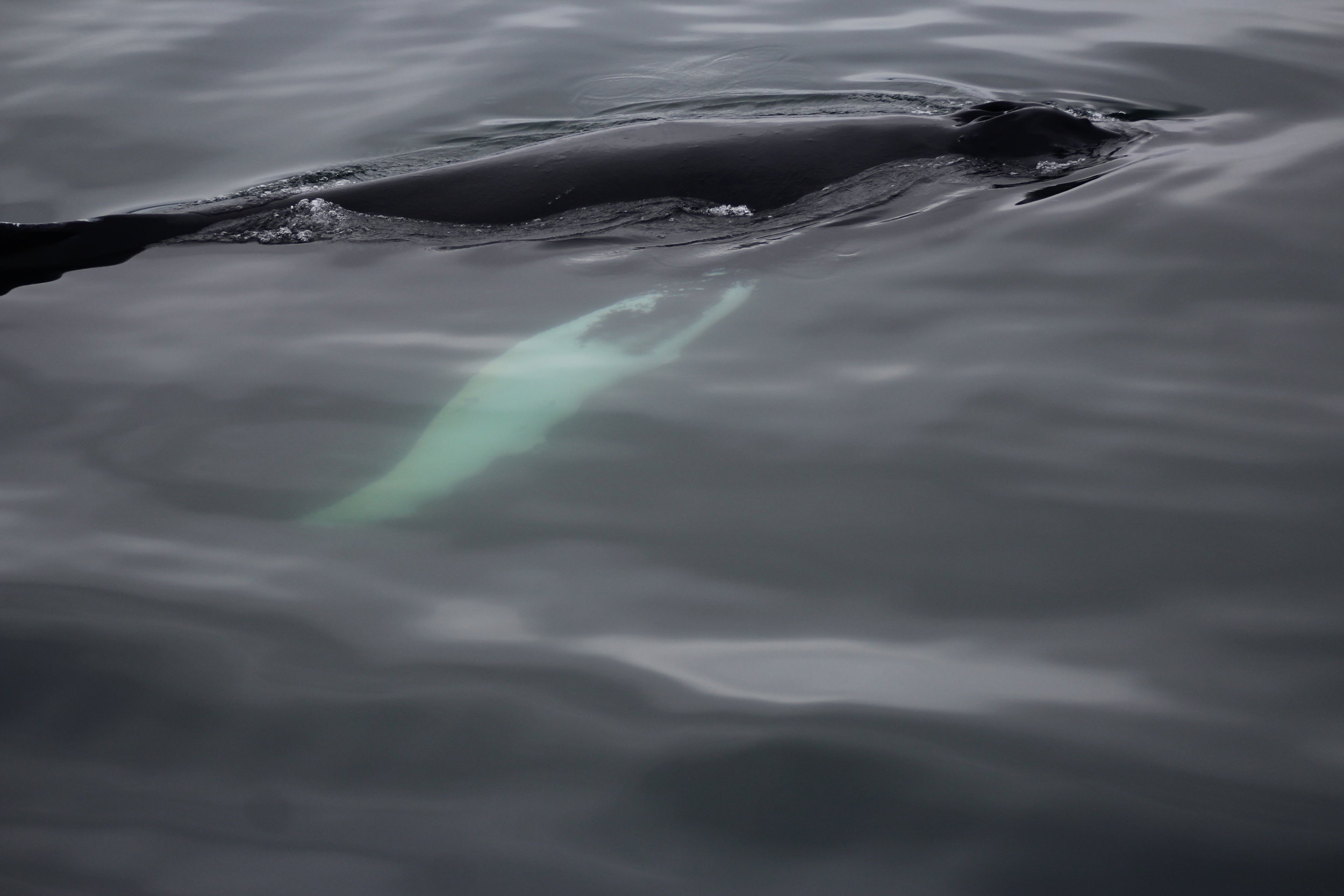 Monday, 05 August 2019