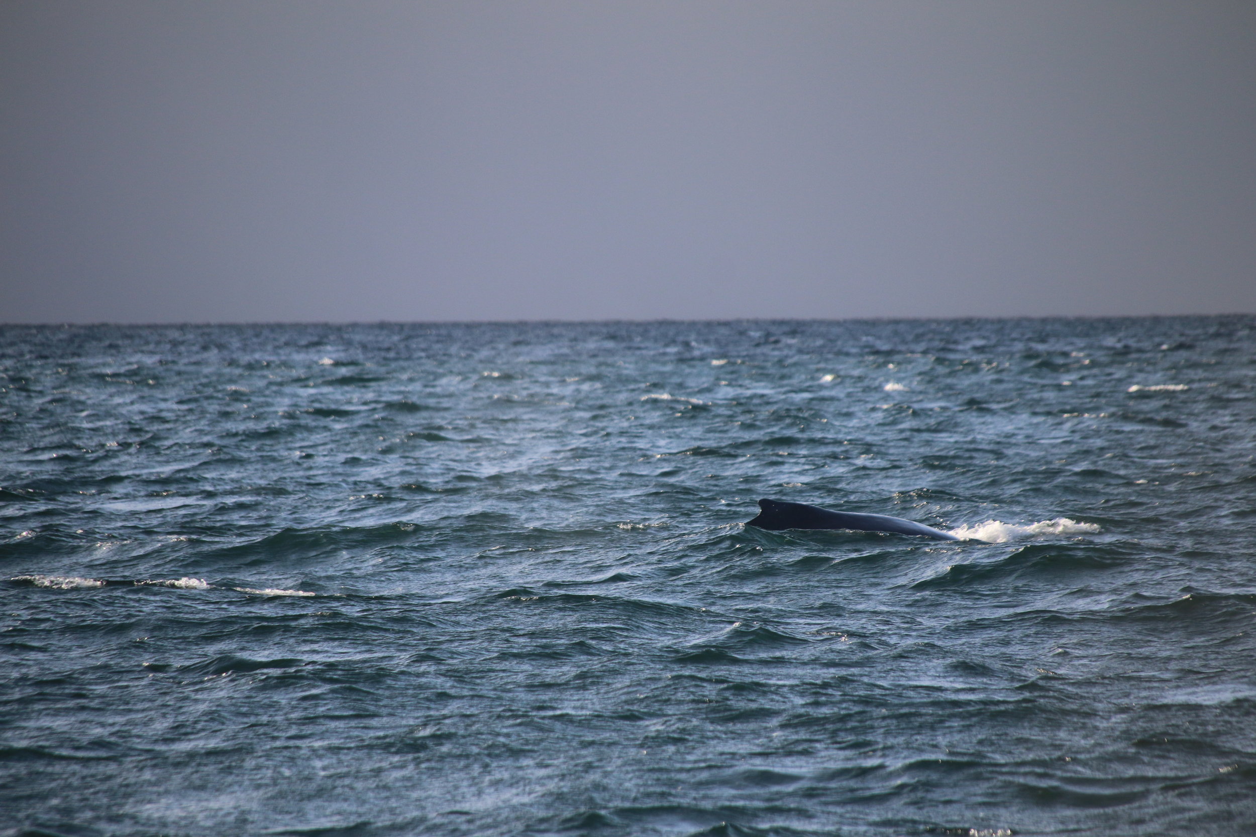 Tuesday, 06 August 2019
