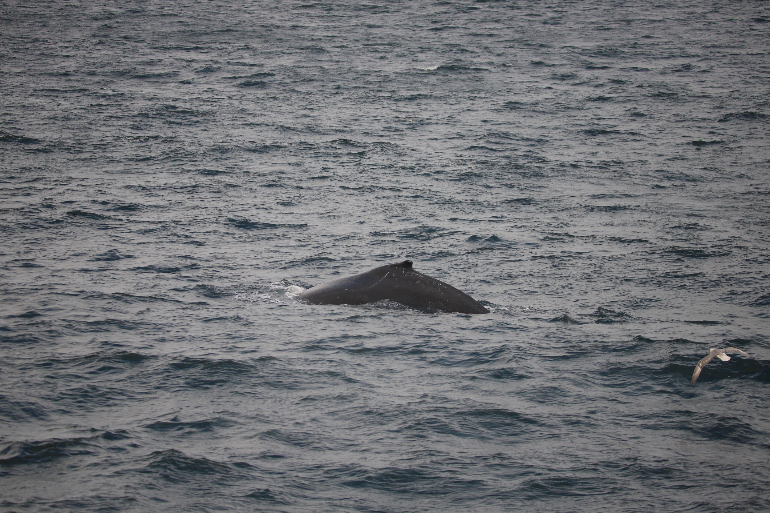 Wednesday, 07 August 2019